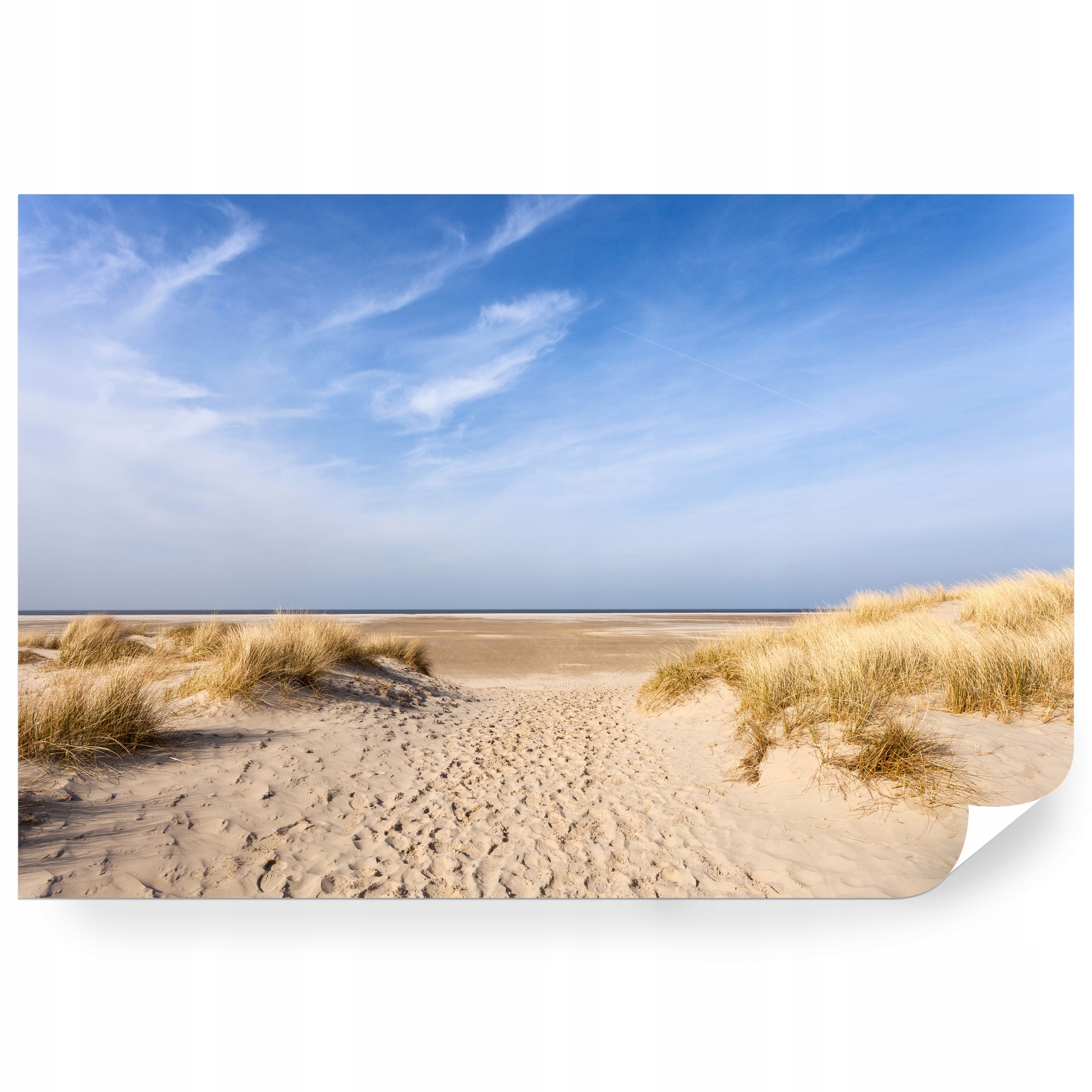 Fototapeta samolepicí Pláž A Duny Nad Baltským Mořem 208 x 146 cm