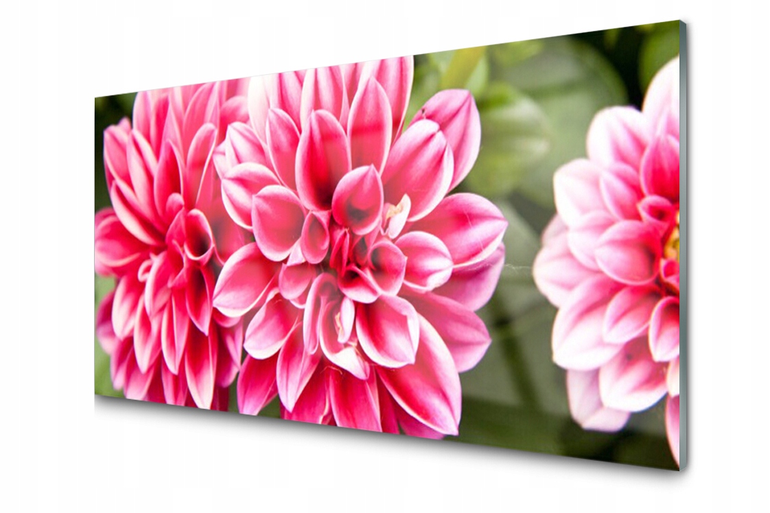 

Panel szklany Płytka Kwiaty Roślina 140x70