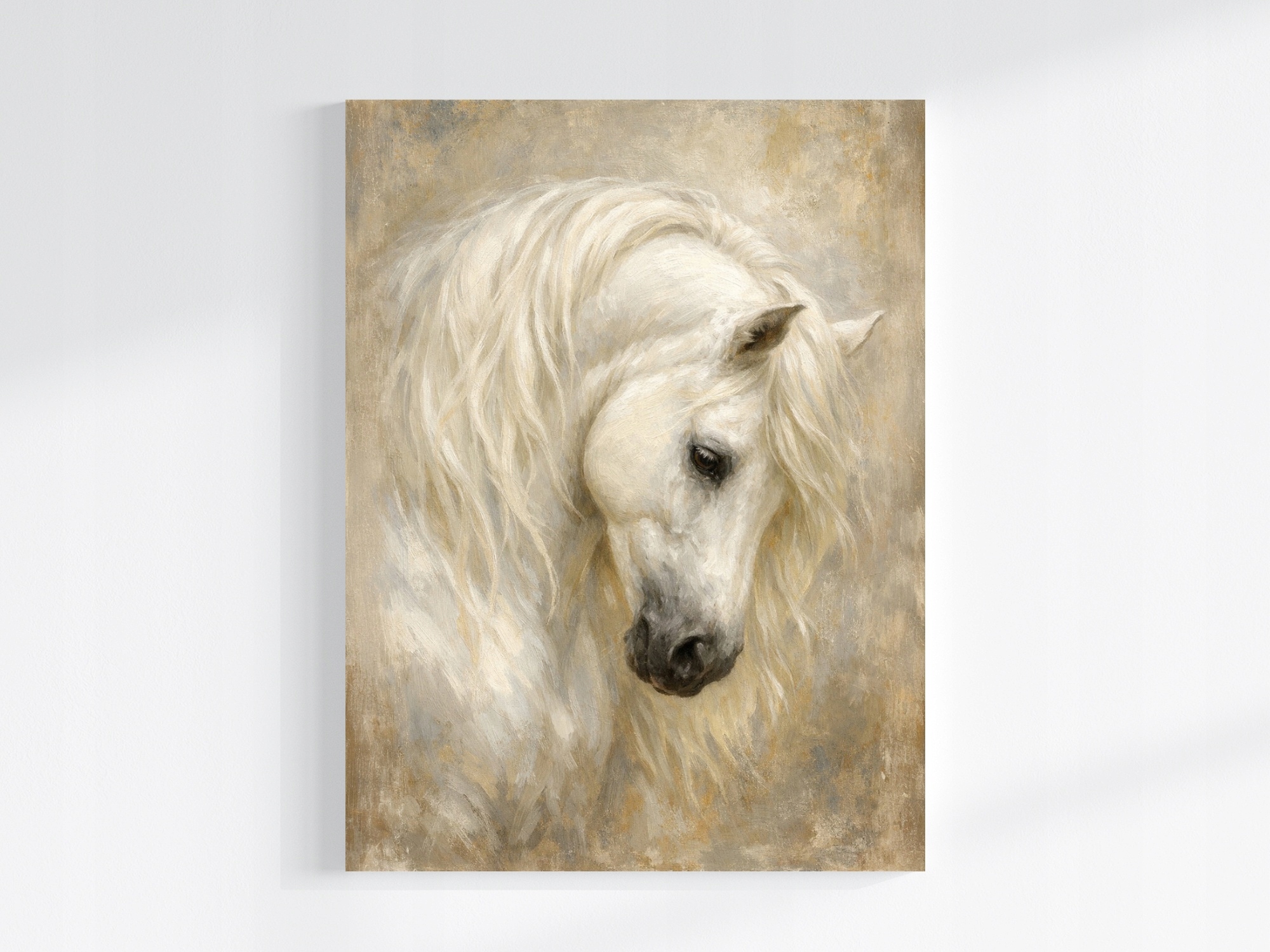 Obraz Na Plátně Canvas Fauna Příroda Zvíře Portrét Kůň Béžová Bílá 60x80