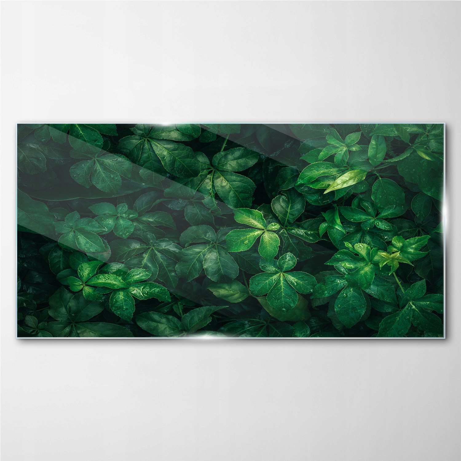 

Foto-obraz szklany Kwiatowy liście liść 100x50 cm