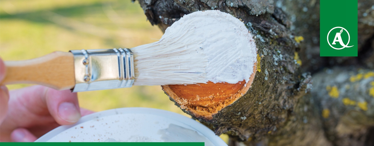 MAŚĆ OGRODNICZA DO DRZEWEK 1KG DENDROMAL BARIERA OCHRONI CHRONI RANY DRZEW Producent inna