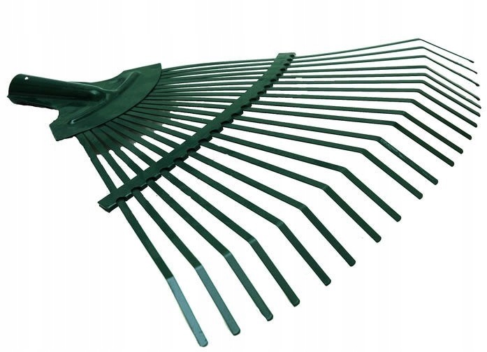 Grabie Płaskie Do Liści