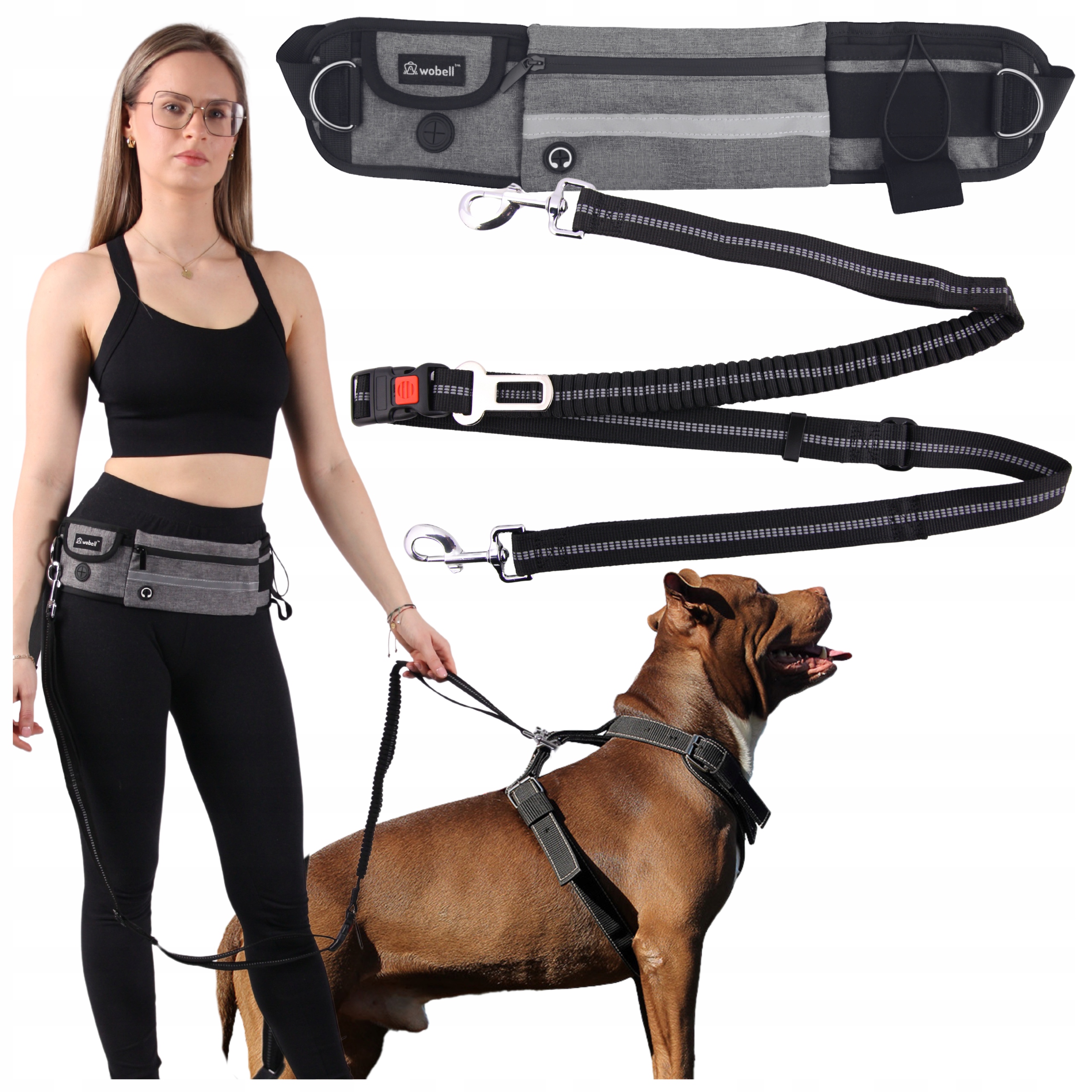 Levně Vodítko Bederní Pás Ledvinka Pro Psa Sportovní Reflexní Tlumič Silná 50 kg