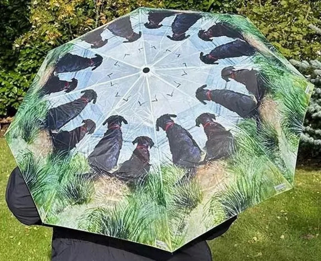 Parasolka Psy na wydmach Alex Clark