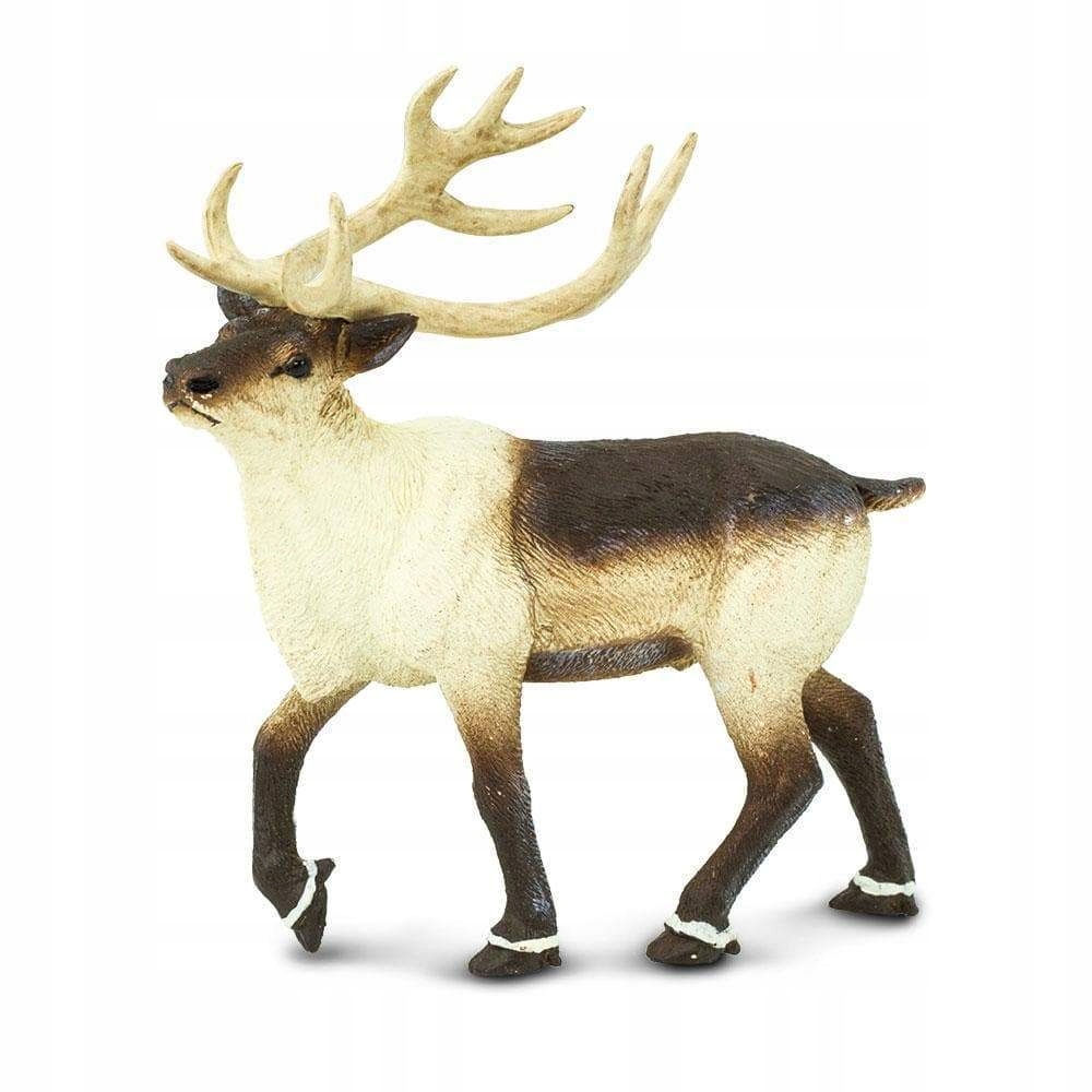 

Renifer Reindeer Safari Ltd. 277929