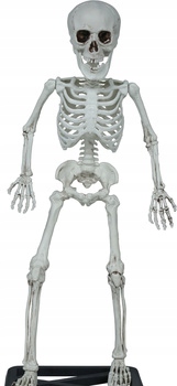 Lidská kostra se základnou 55cm Halloween Bones lebka kostlivec