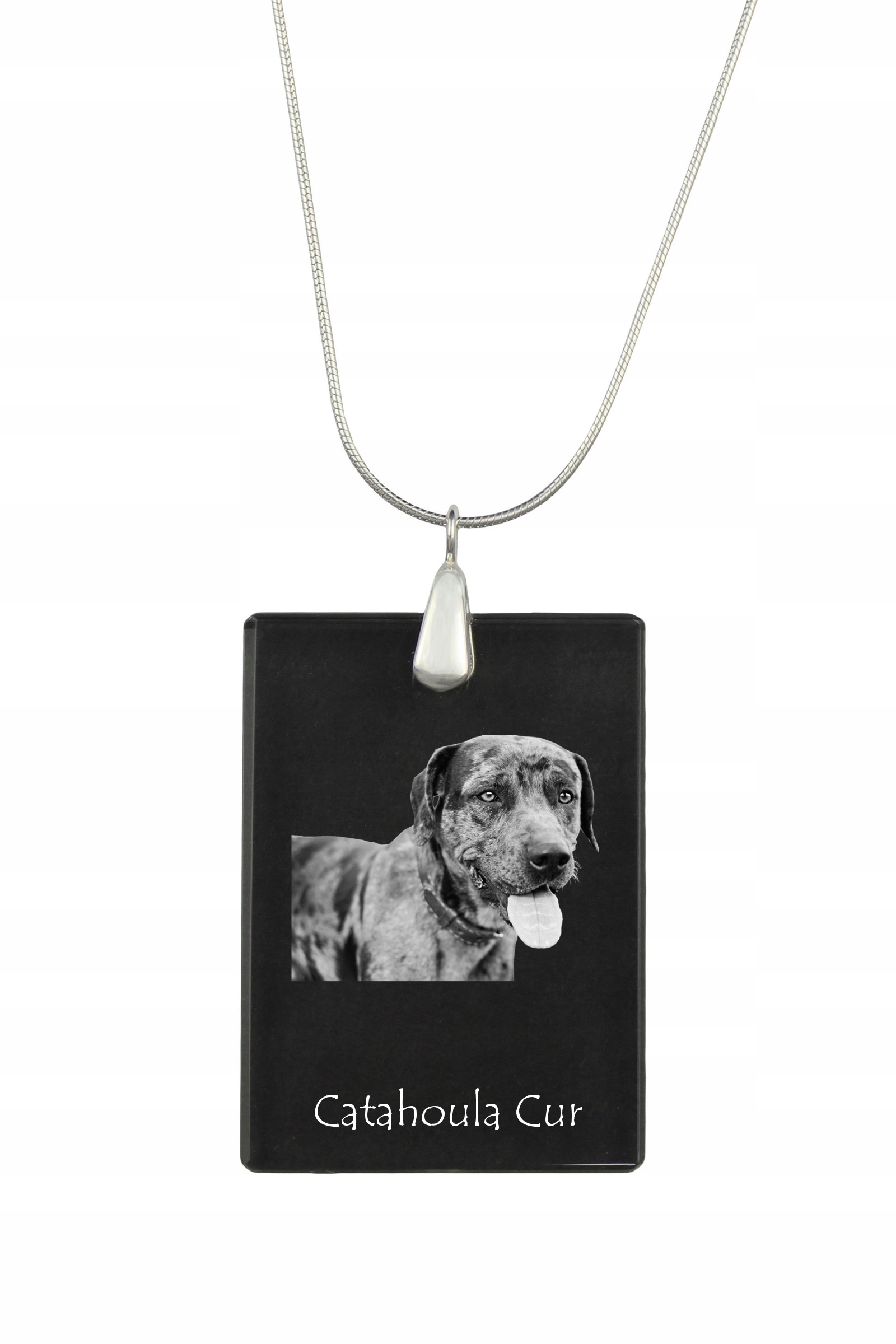 Catahoula Leopard Dog stříbrný náhrdelník s křišťálovým přívěskem se psem