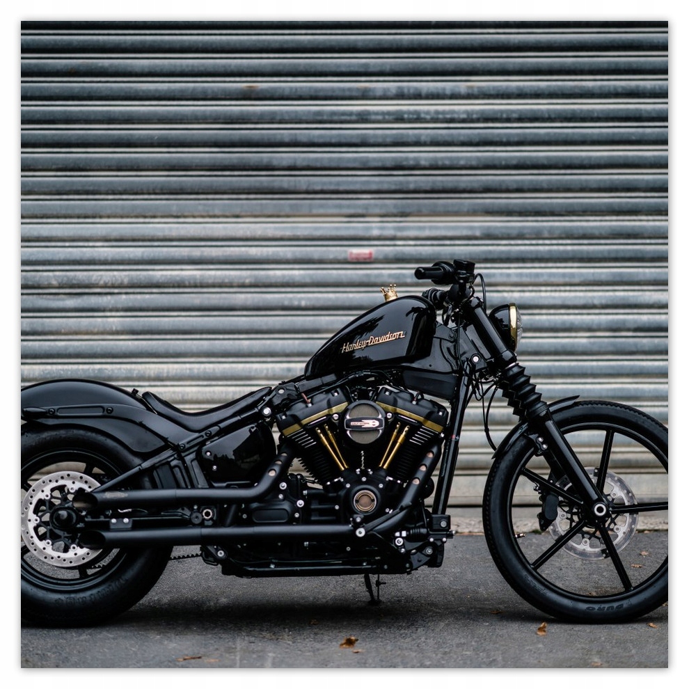 

Fototapety flizelina 312x312 Harley Davidson Motor
