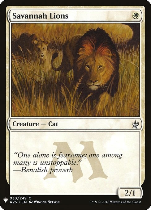 Savannah Lions - Niska cena na Allegro