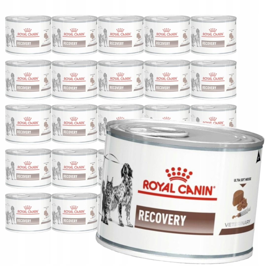 Levně Royal Canin Veterinary Recovery Mousse 24x195g Vlhké Krmivo pro psy a kočky