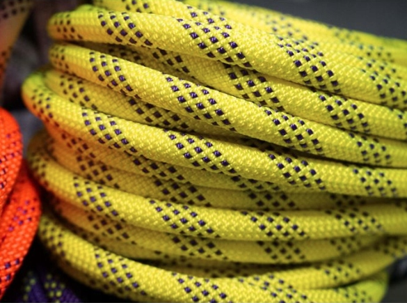 Lina eStatic 11mm Tendon żółta x 1mb. EAN (GTIN) 8590869844928