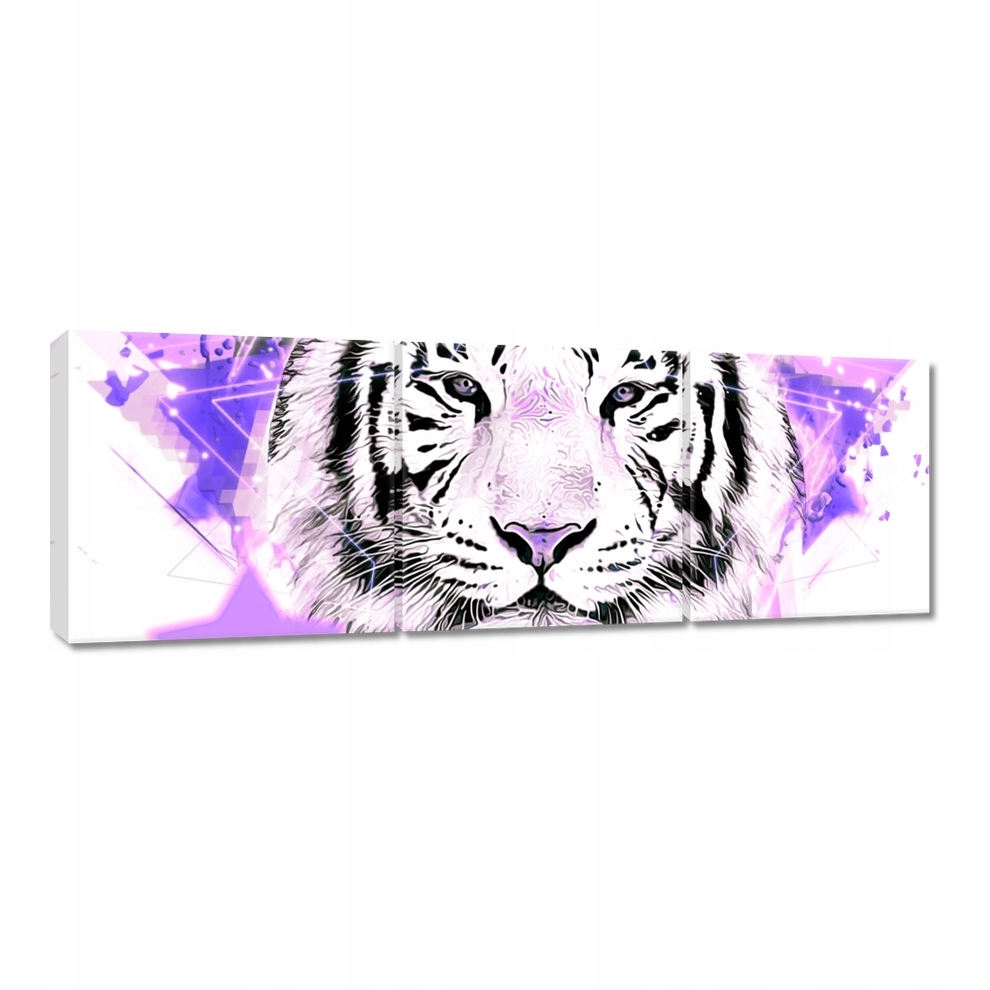 

Obrazy 120x40 Tygrys we fiolecie