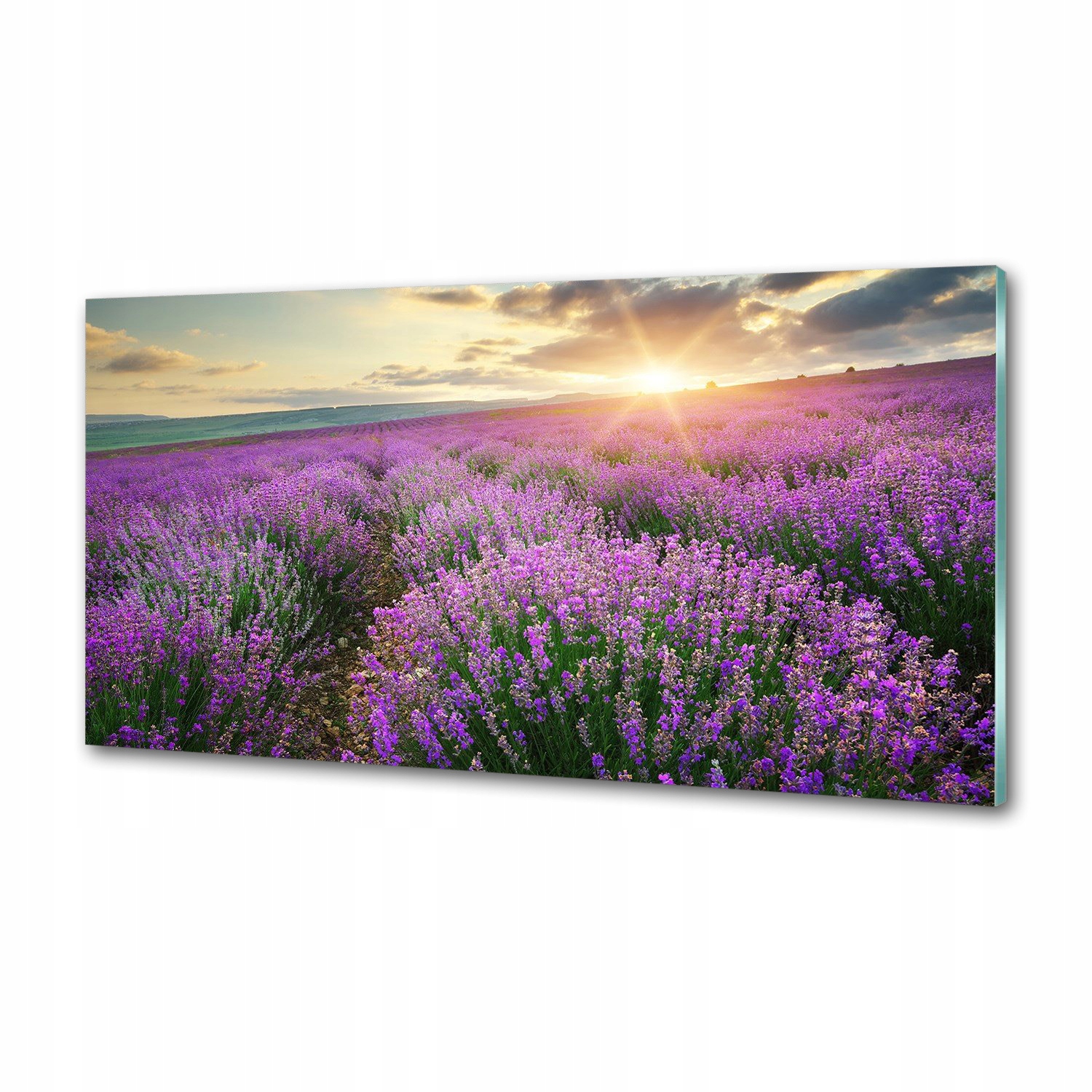 Dekorativní panel sklo Pole levandule 120 x 60 cm Lepidlo