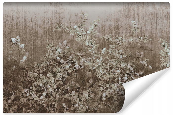 Fototapeta do obývacího pokoje Beton Rostliny Listy Zeď Vintage styl 270x180