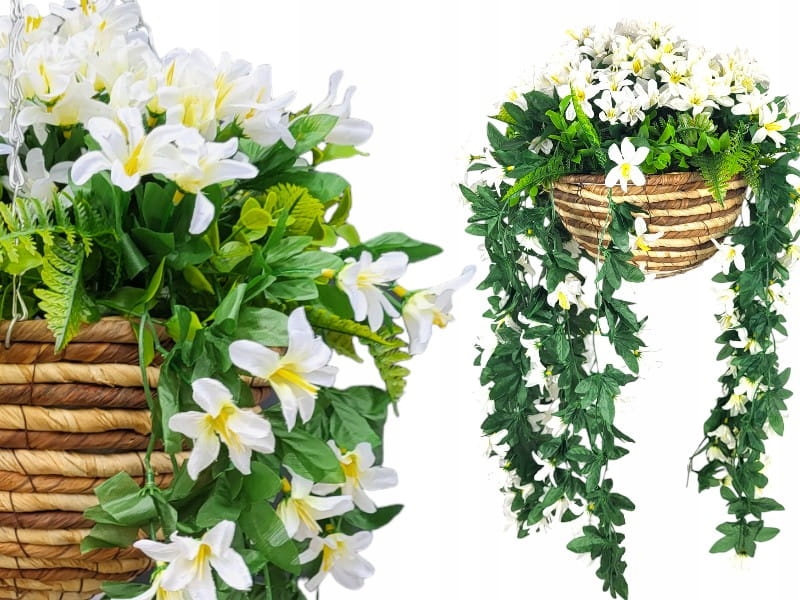 Pelargonie Liljowiec Pelargonie Surfinie Květiny na balkon Závěsný květináč