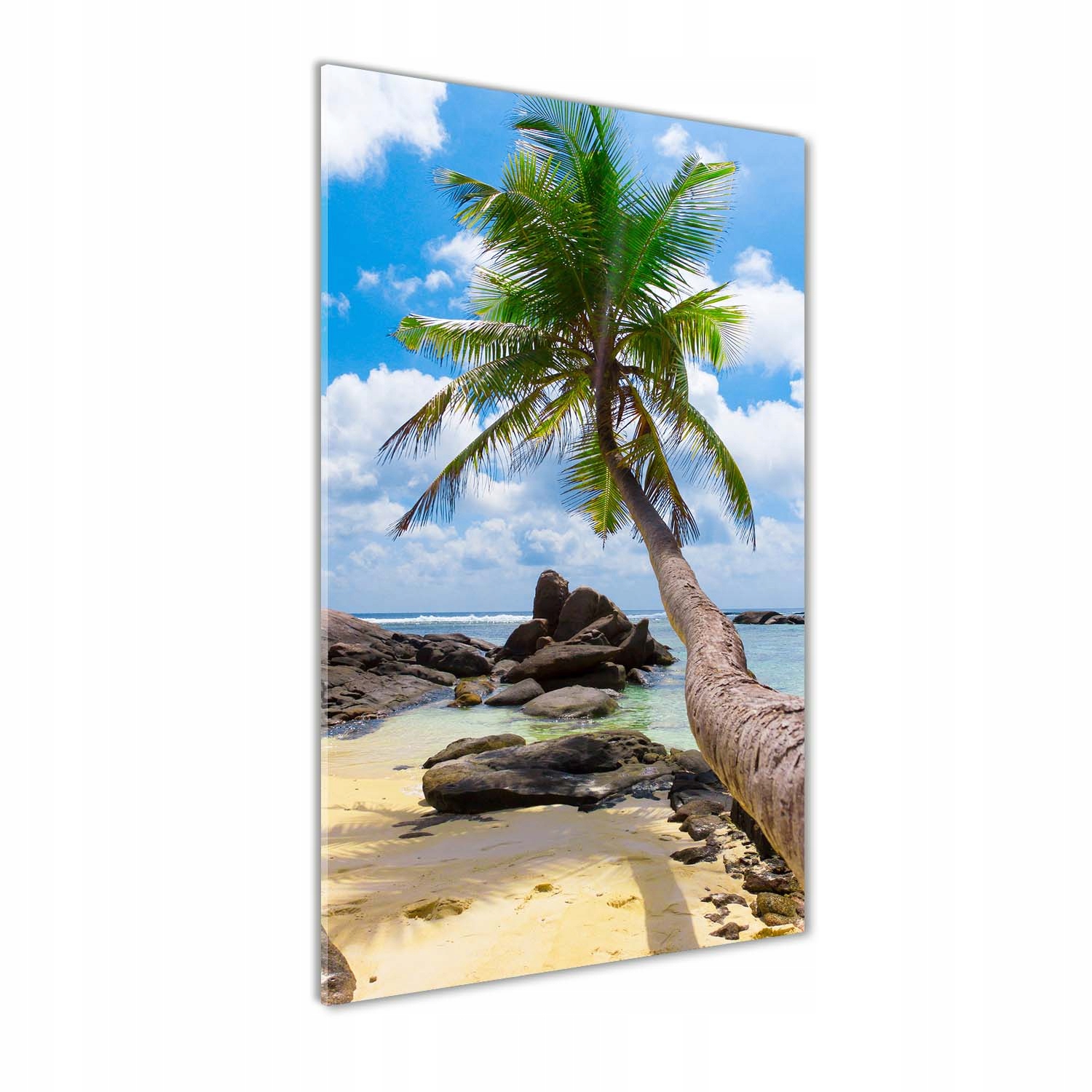 

Foto obraz szkło akrylowe Tropikalna plaża 60x120