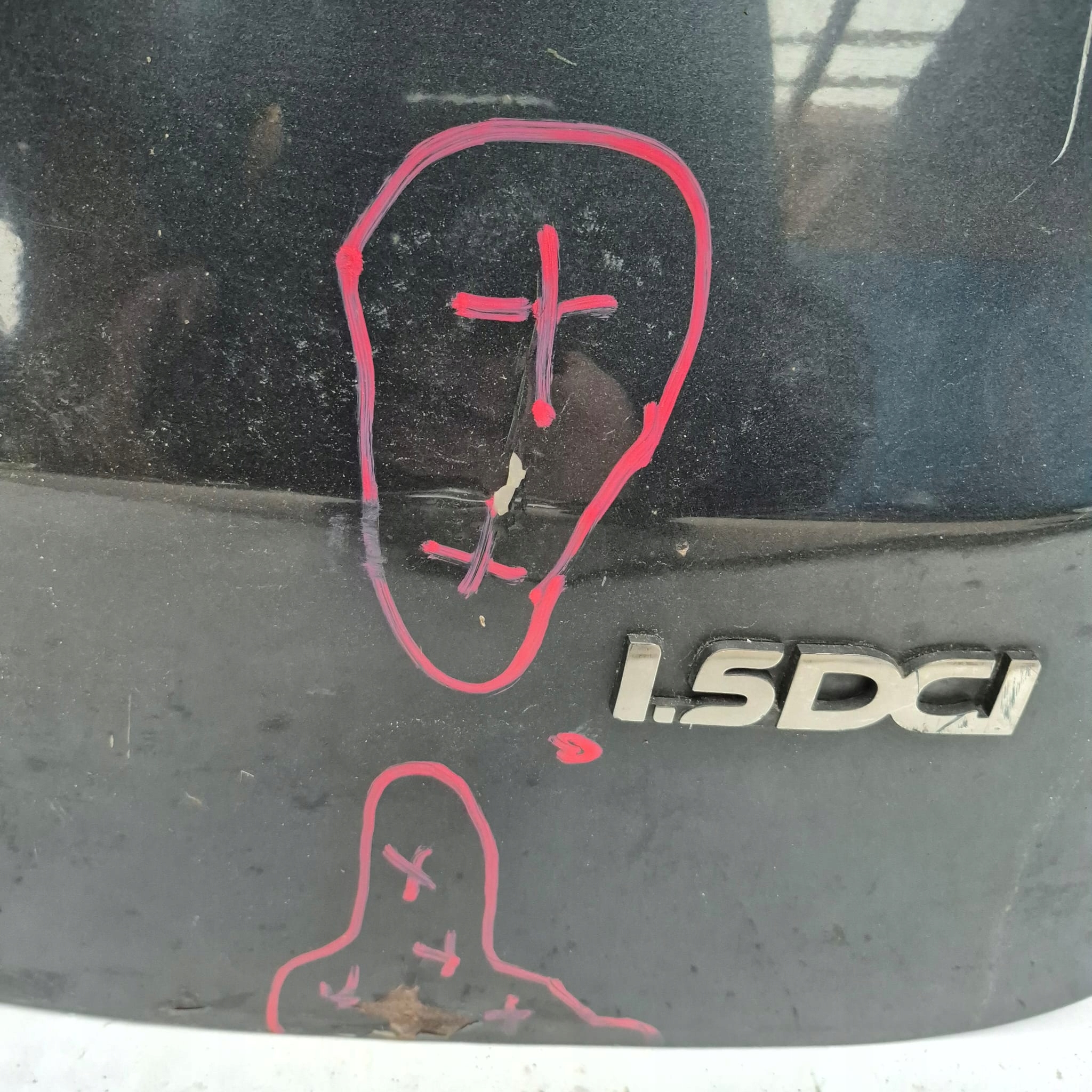DACIA LOGAN und VAN MCV 06- Tür rechts heck hinten