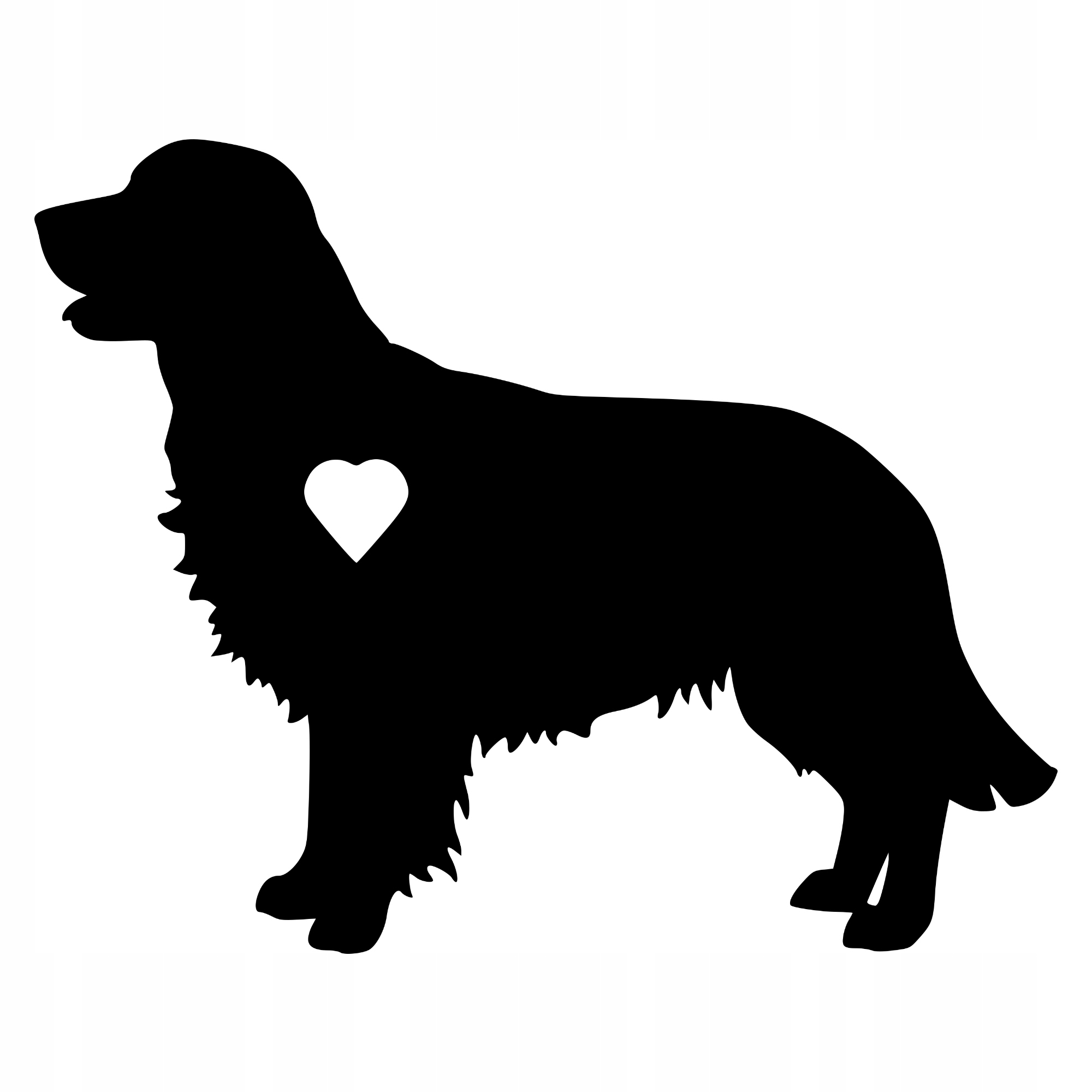 

Naklejka na samochód Golden Retriever Pies