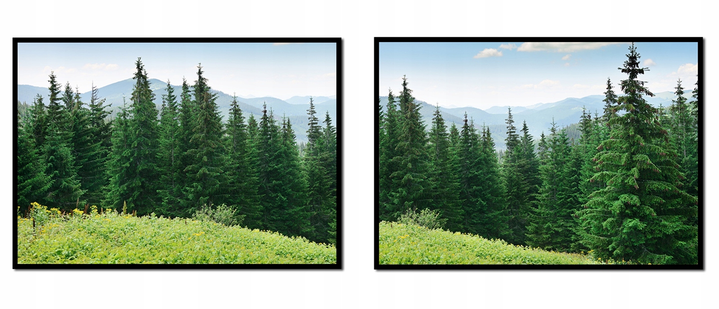 Obraz Plakáty V Rámu 53x73cm Diptych Sada 2 obrazů Hory Les Polana P1012