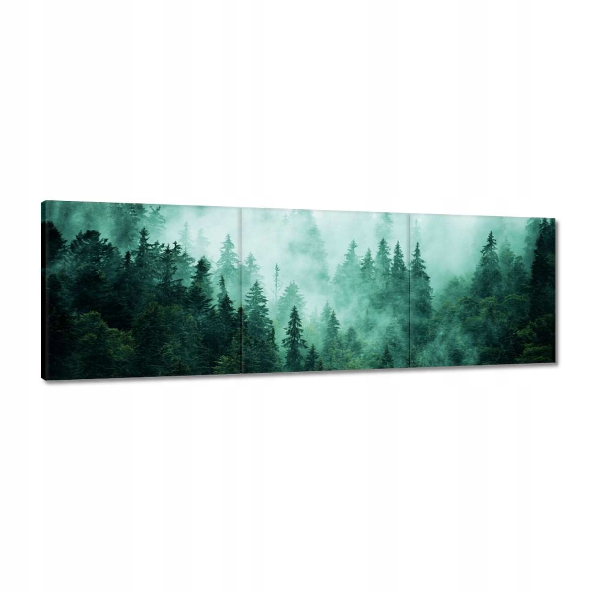 Obrazy 150x50 Les Mlha Krajina Cestování