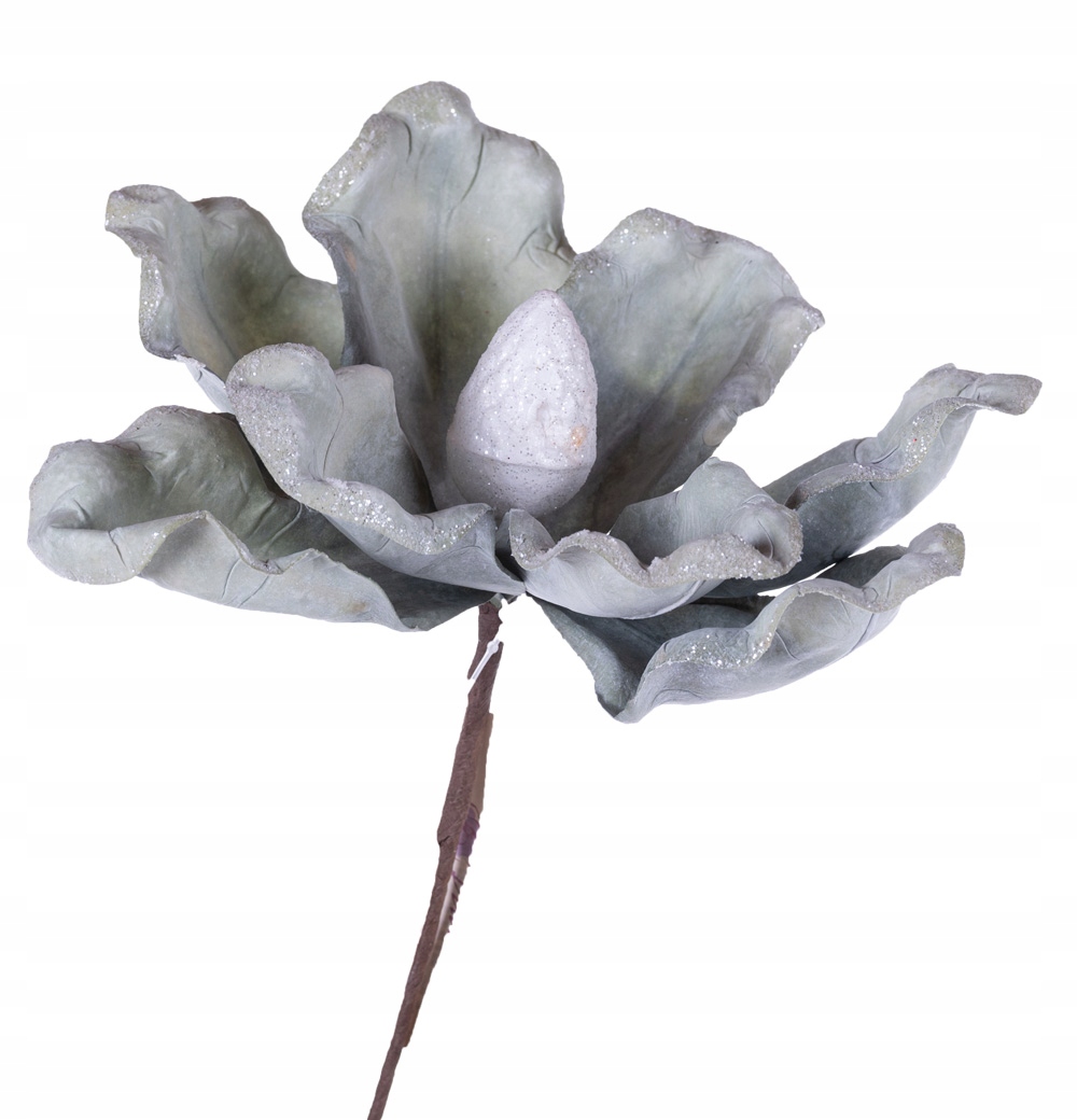 

Magnolia pistacjowa 22cm zimowa do dekoracji