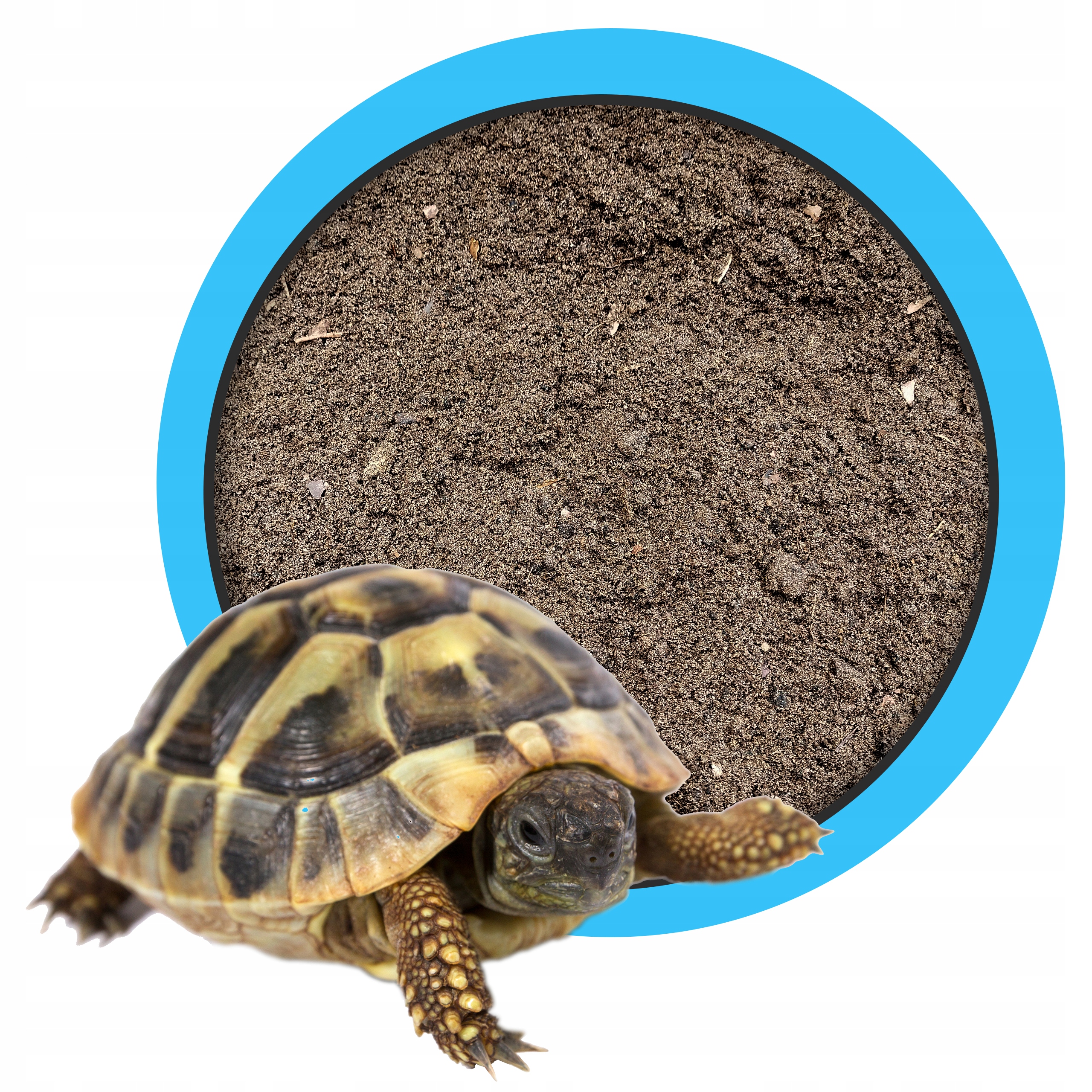 

Podłoże dla młodego żółwia Testudo Soil Baby 10L