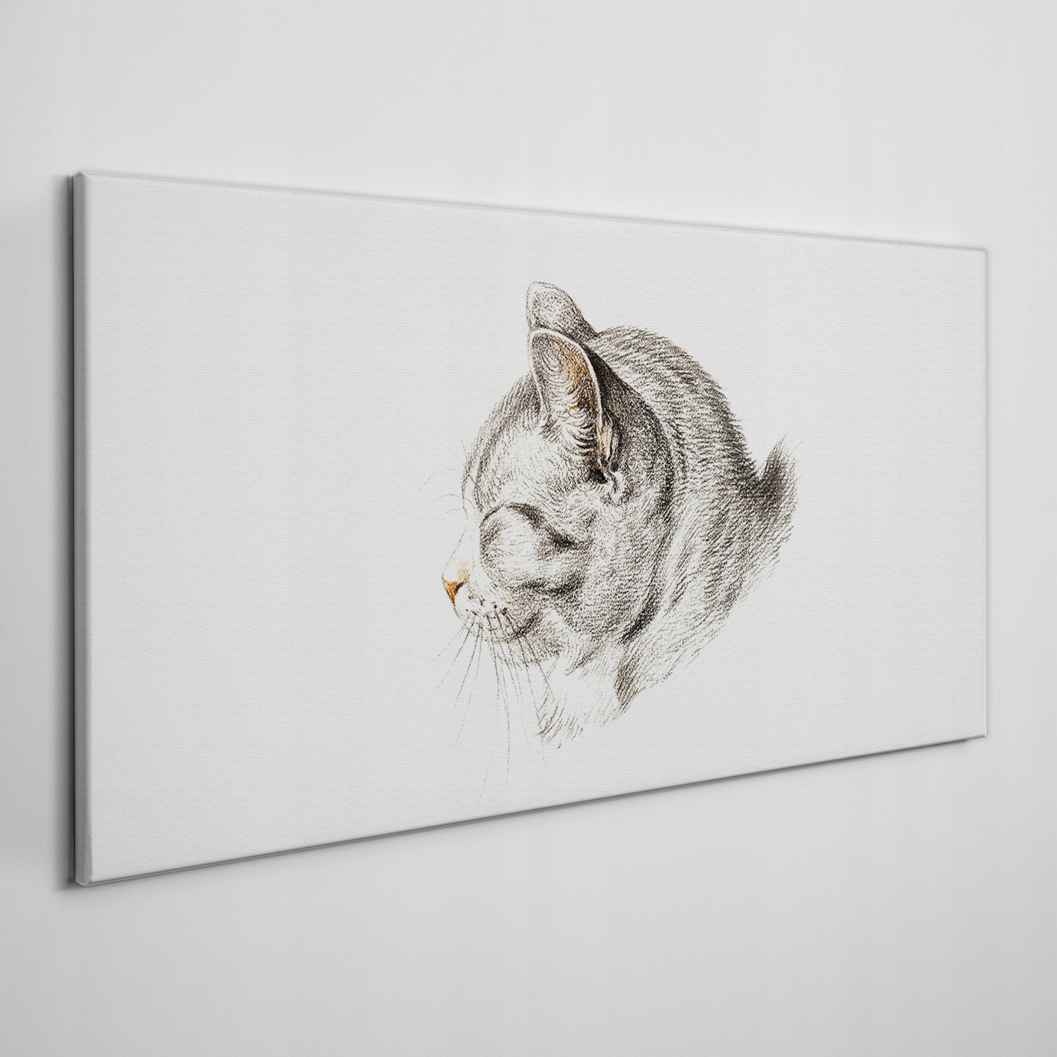 

Obraz na płótnie na ramie Zwierzę kot 120x60 cm