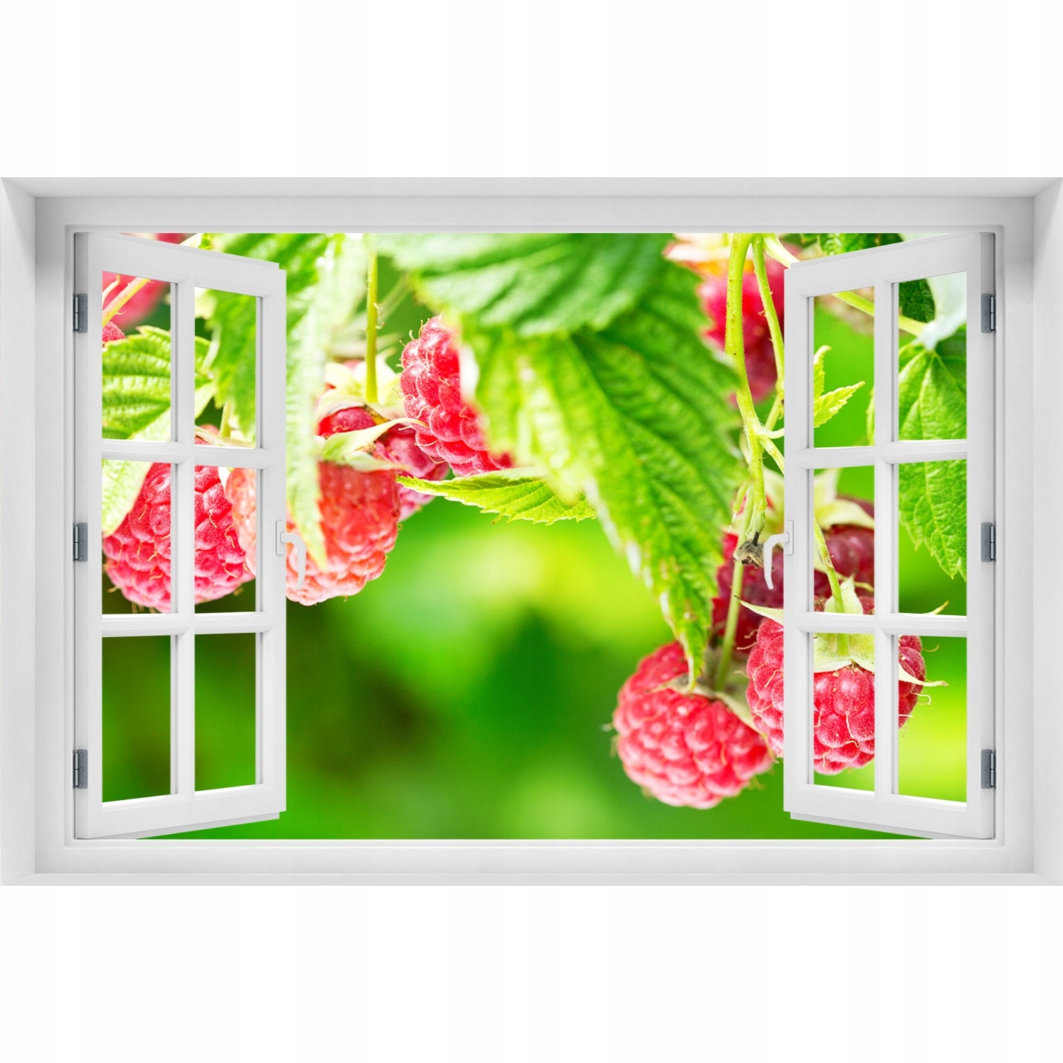 

Samoprzylepna Naklejka na ścianę Maliny w ogrodzie