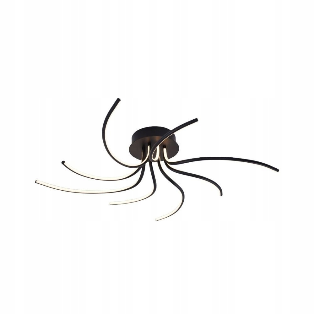 Led stropná lampa 36W Diogo 2200012-BK Zuma Line