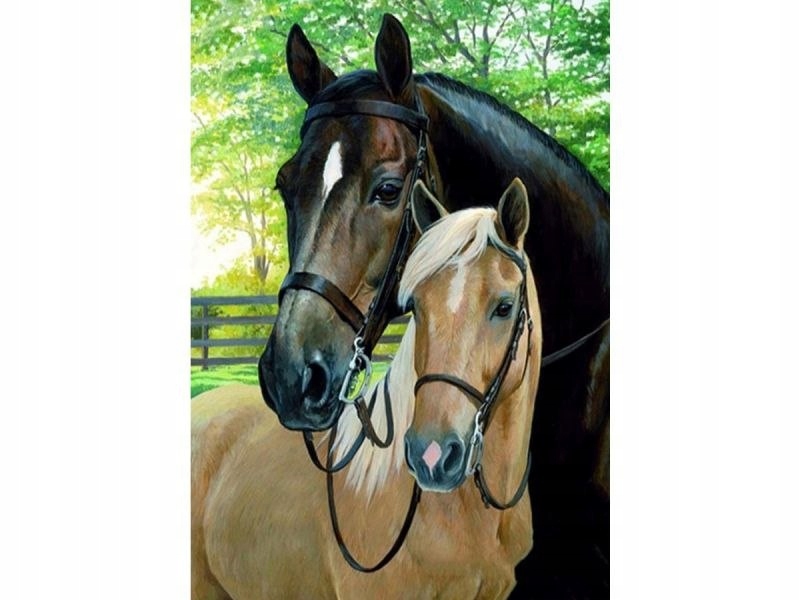 Obrázek Malování Podle Čísel Rama 40x50cm Koně