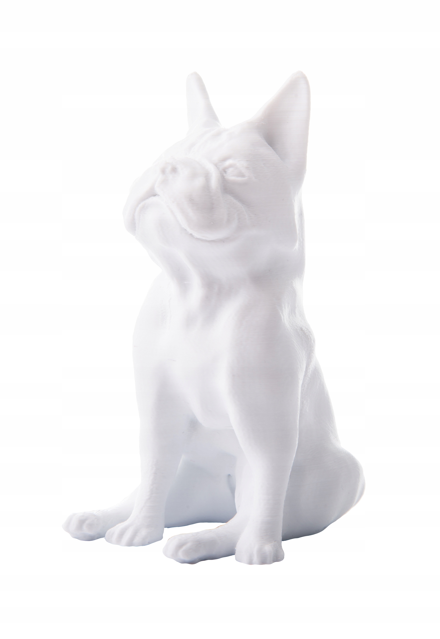 Filament PLA PRINT-ME Polar White 250g i GRATIS EAN (GTIN) 5906190615237