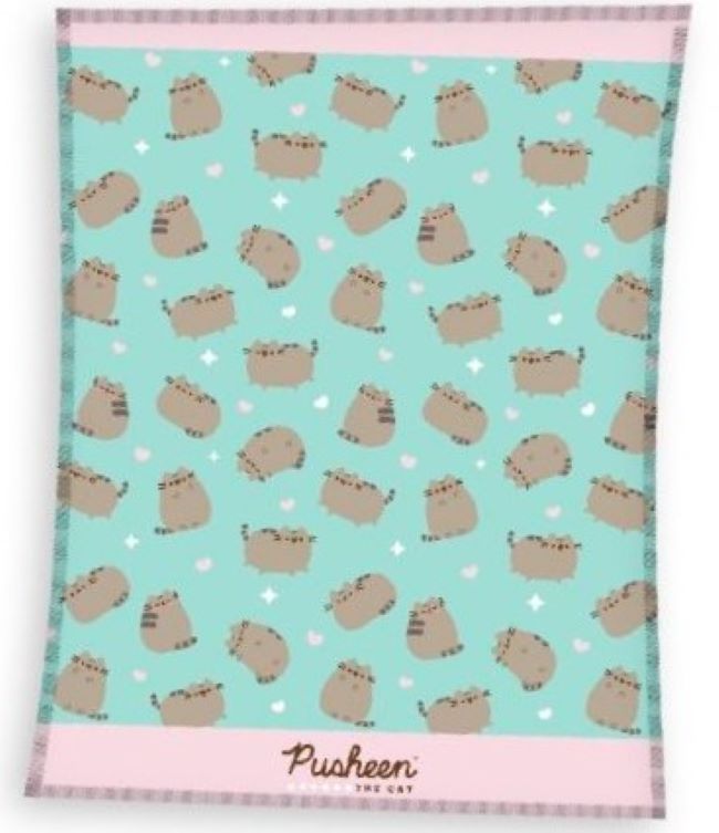 KOC KOCYK PUSHEEN KOTEK Z KOTKAMI 150x200 DUŻY LEKKI CIEPŁY PLUSZOWY
