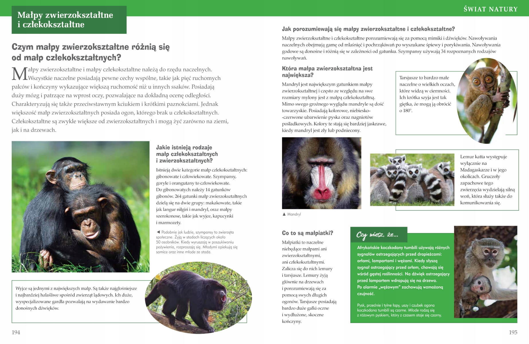 ENCYKLOPEDIA WIEDZA W PYTANIACH I ODPOWIEDZIACH TW Autor Praca zbiorowa