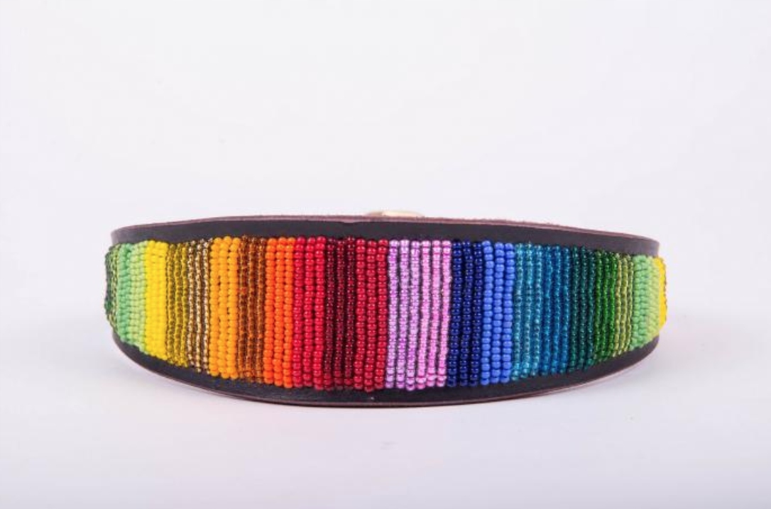 Kožený Obojek Pro Chrty, Ručně Zdobený Simba Jones Duhový Xs