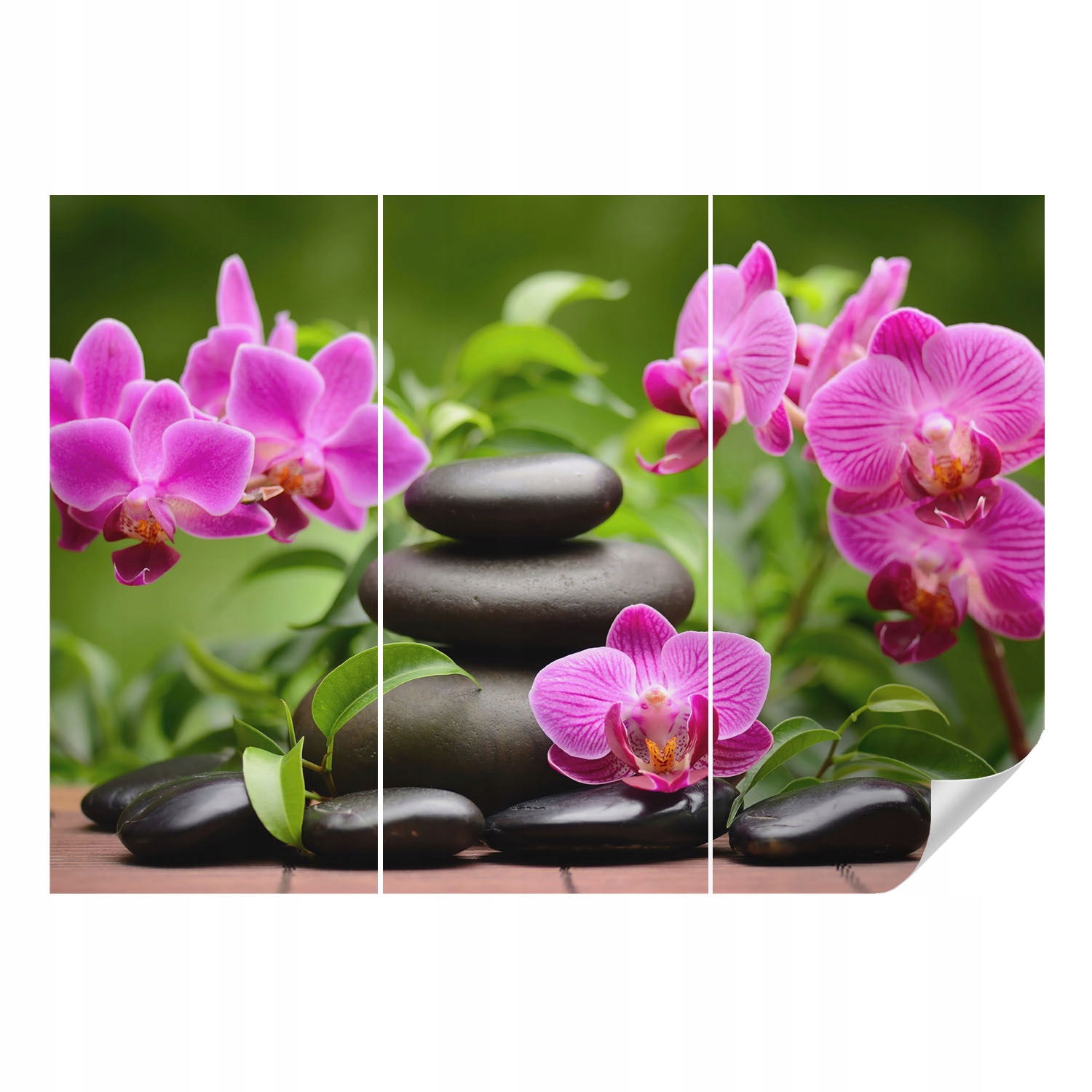Dekorativní Samolepicí tapeta Módní vzory Orchideje kameny 312 x 219 cm