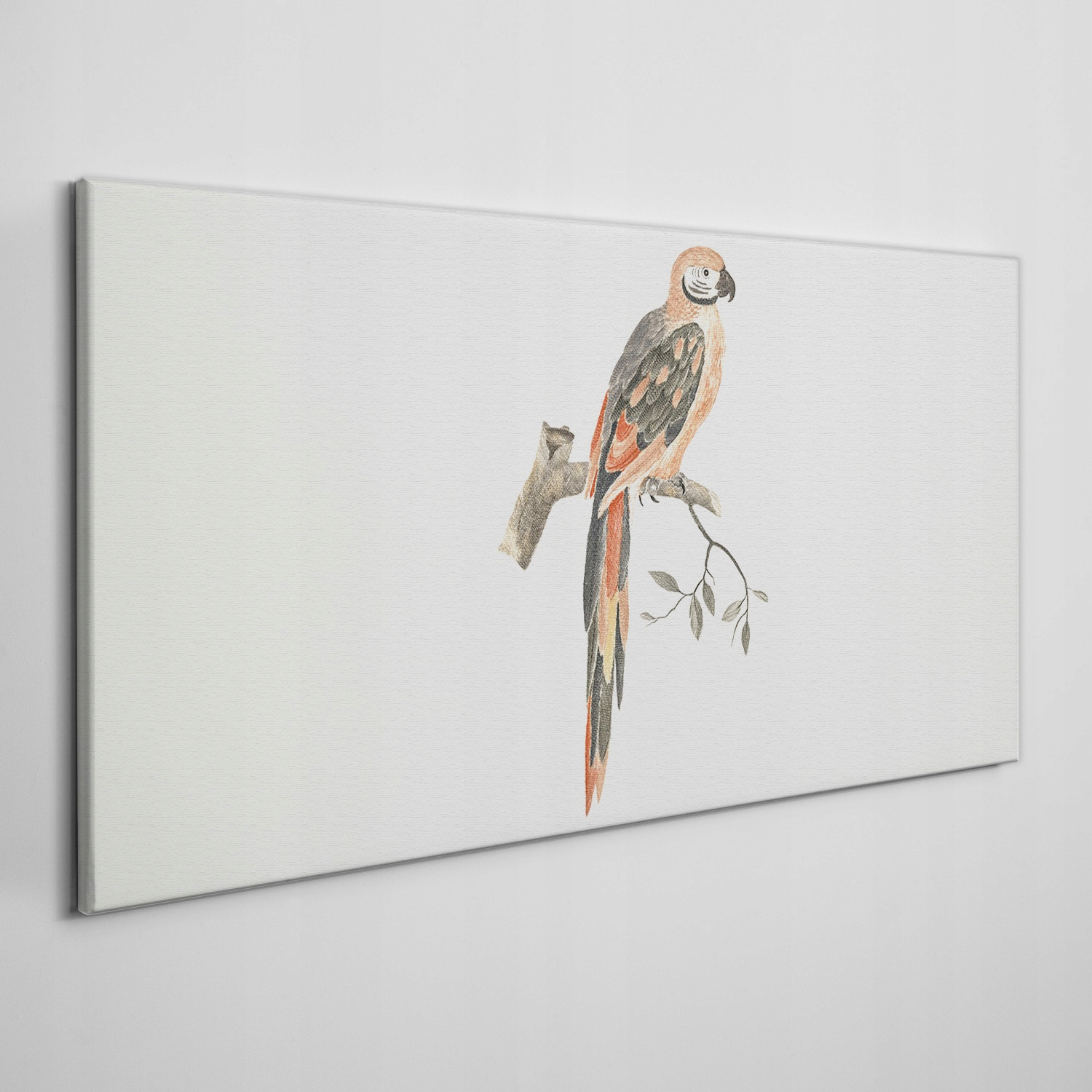 

Obraz na płótnie Zwierzę ptak oddział 140x70 cm