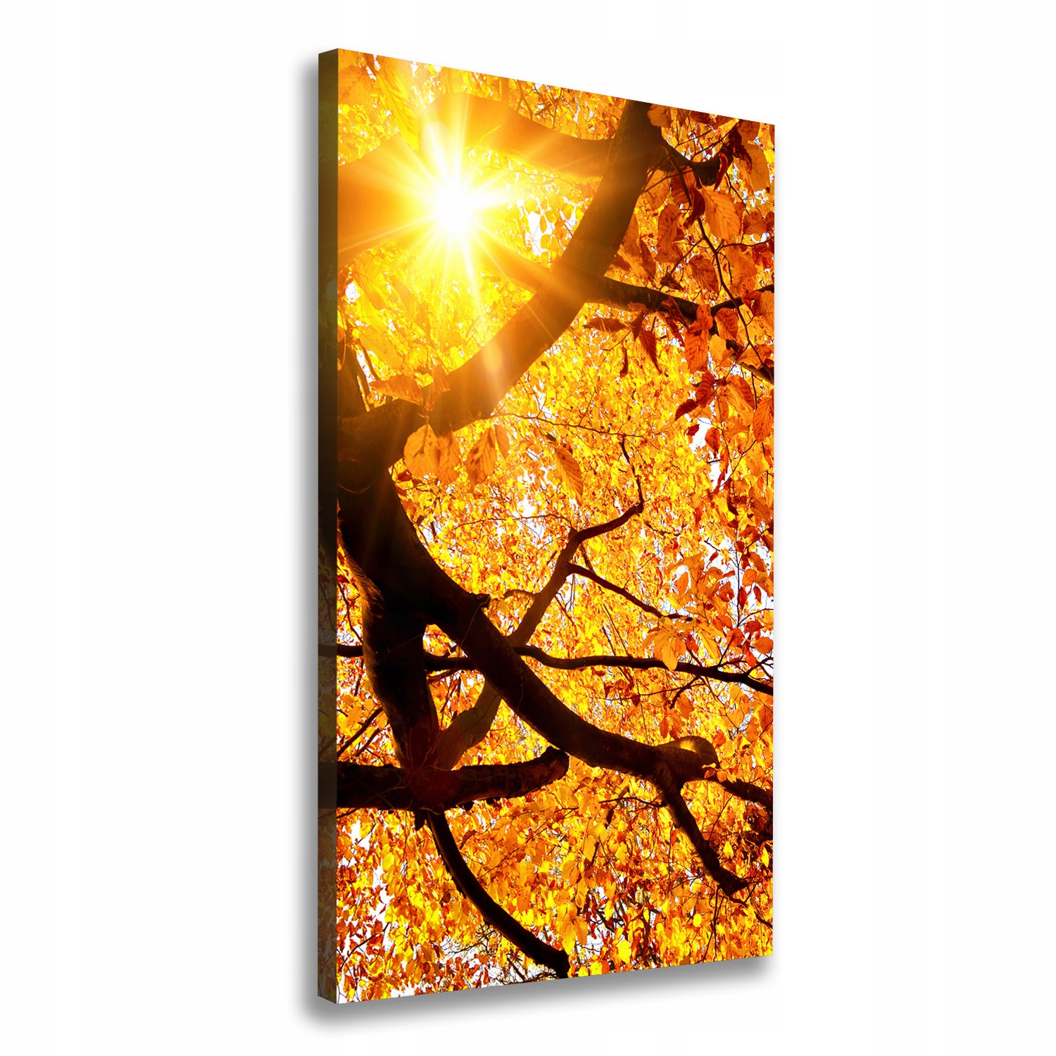 

Foto obraz na płótnie Jesienne drzewo 60x120 cm