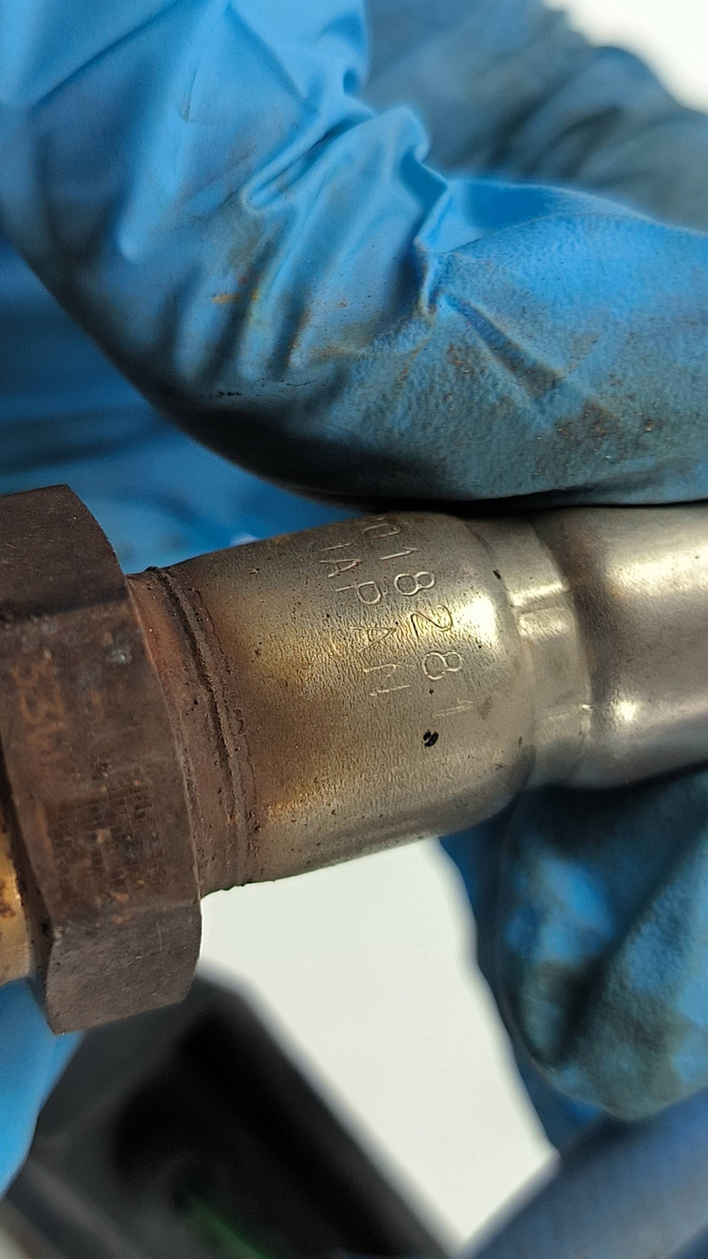 SONDA NK31-5E145-BA FORD TRANSIT MK8
