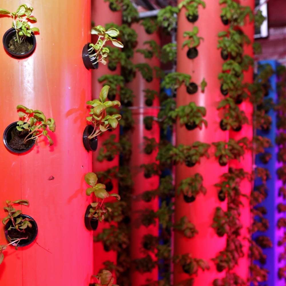 ŻARÓWKA GROW Videx LED E27 9W LAMPA DO UPRAWY WZROSTU ROŚLIN FITOLAMPA Marka Videx