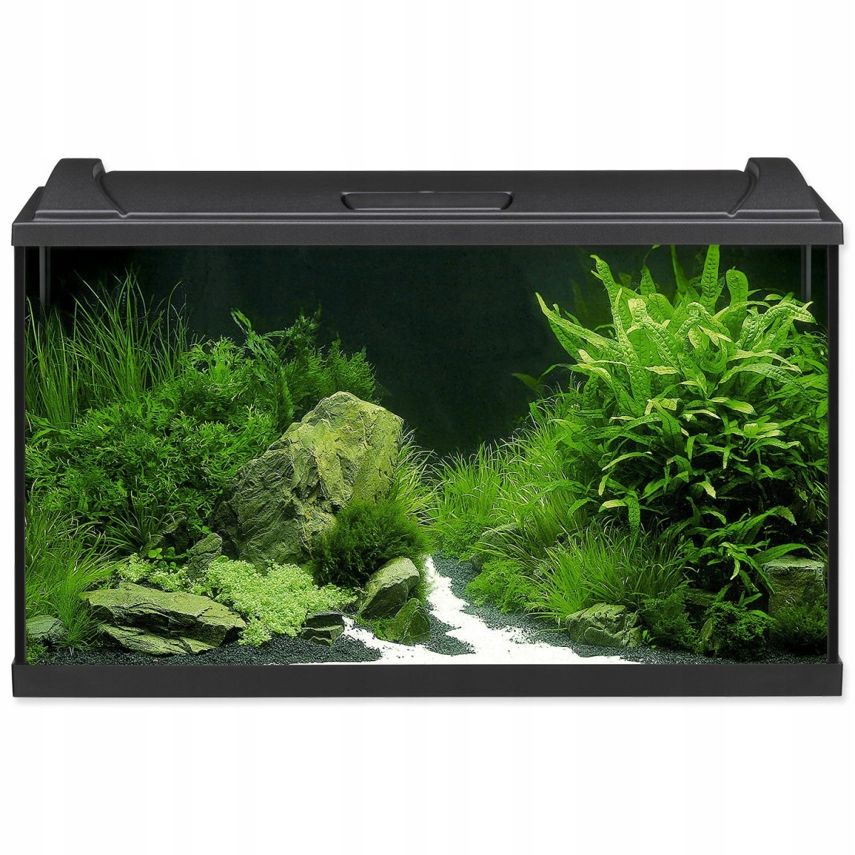 Levně Akvarijní set Eheim Aquapro Led černý 80x35x45cm 126l