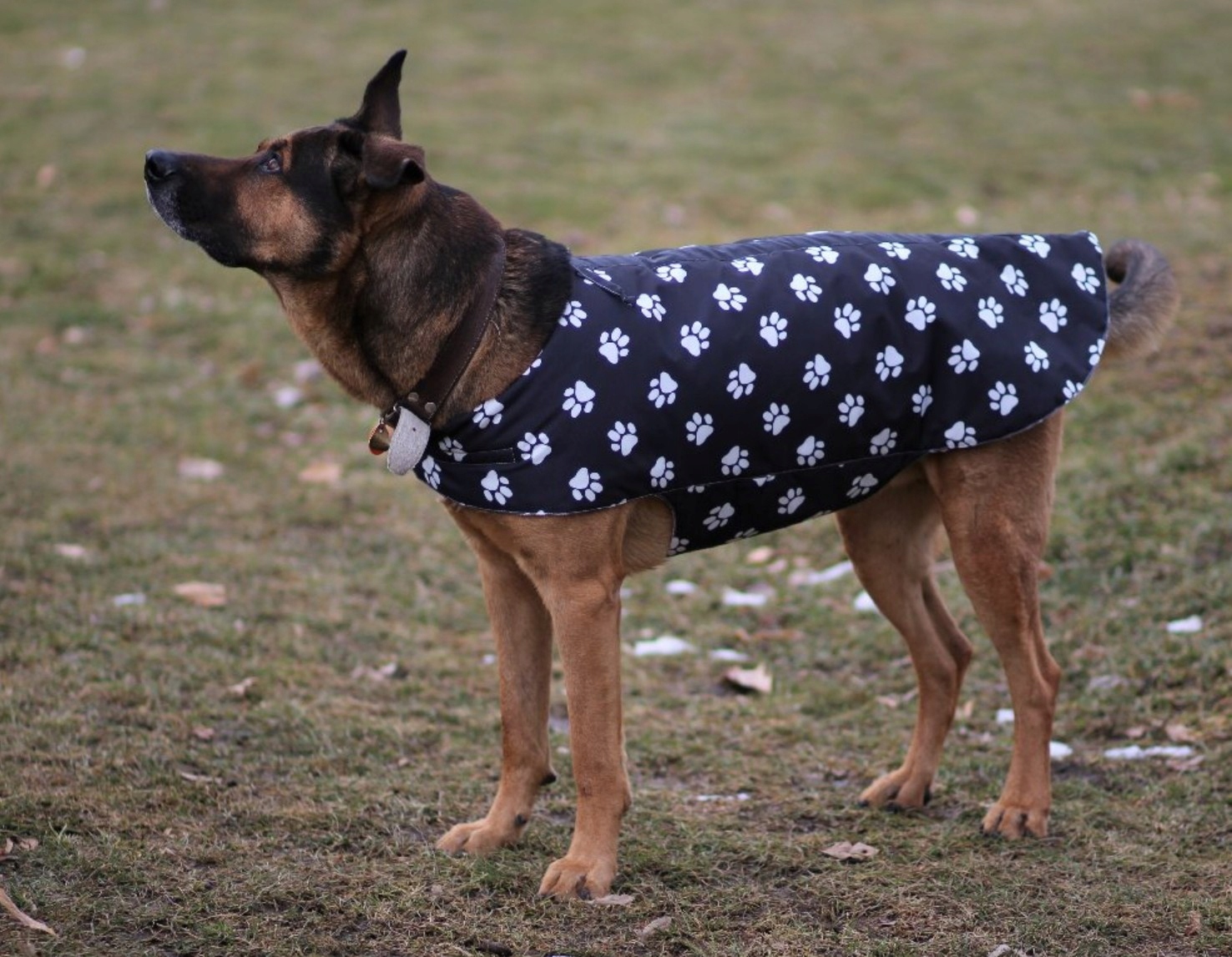 Levně Hřejivý zábal pro seniorní a nemocné psy velká plemena