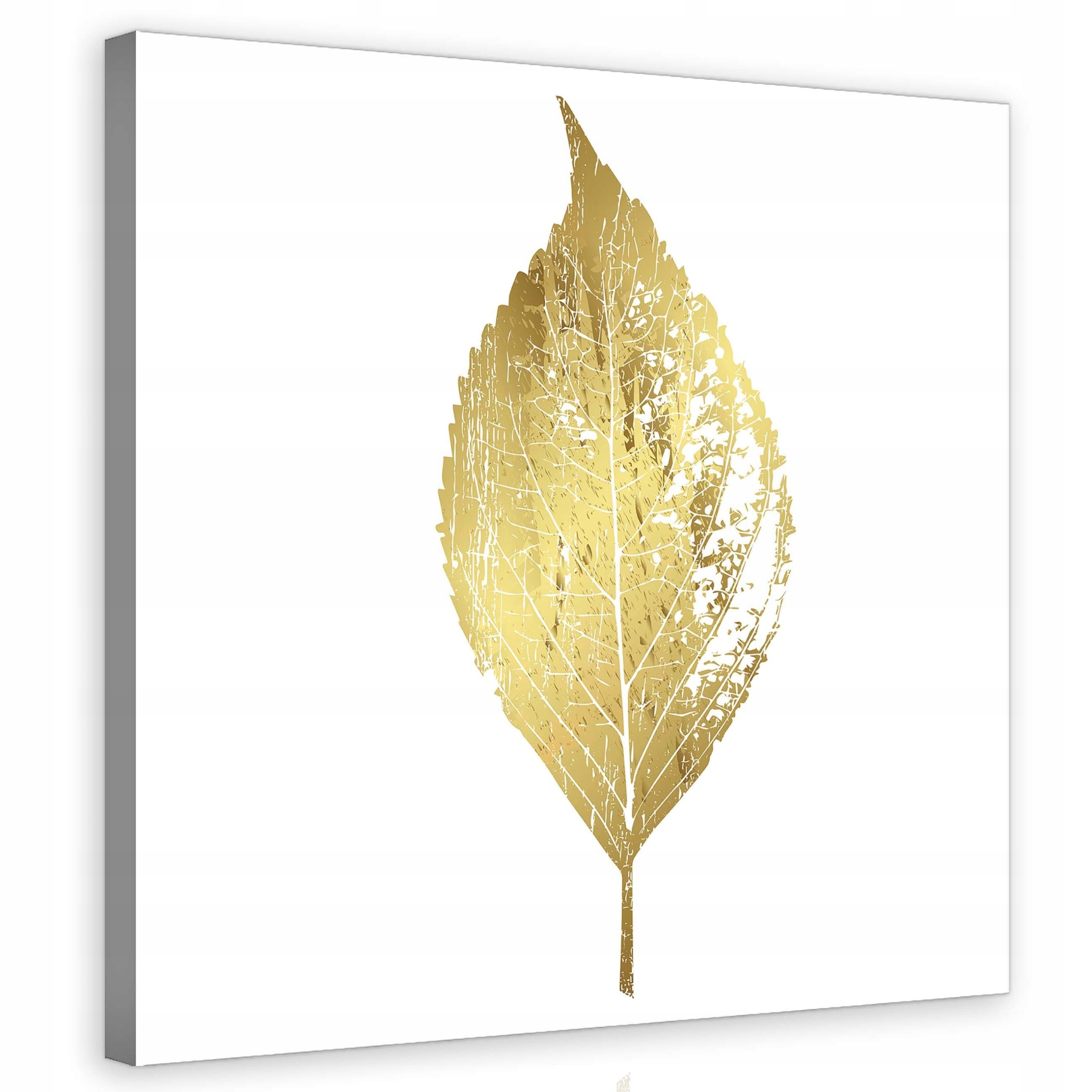Obraz 80x80 Zlatý list minimalismus elegance moderní botanické umění