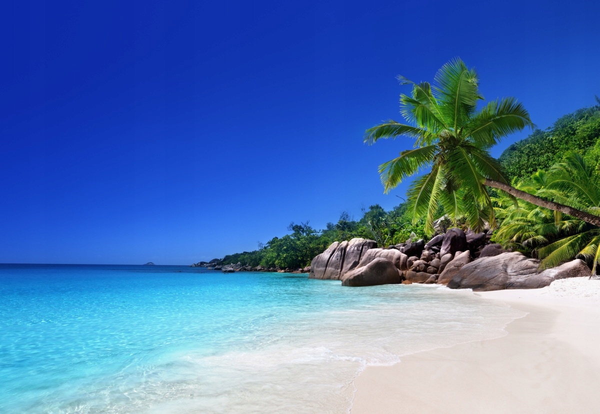 

Fototapeta Flizelinowa Seszele plaża 152x104