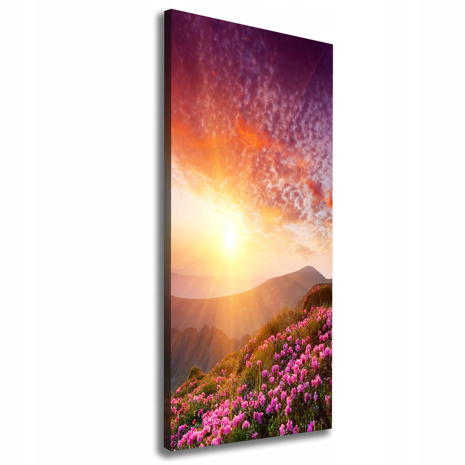 

Foto obraz na płótnie Wiosna w górach 50x125 cm