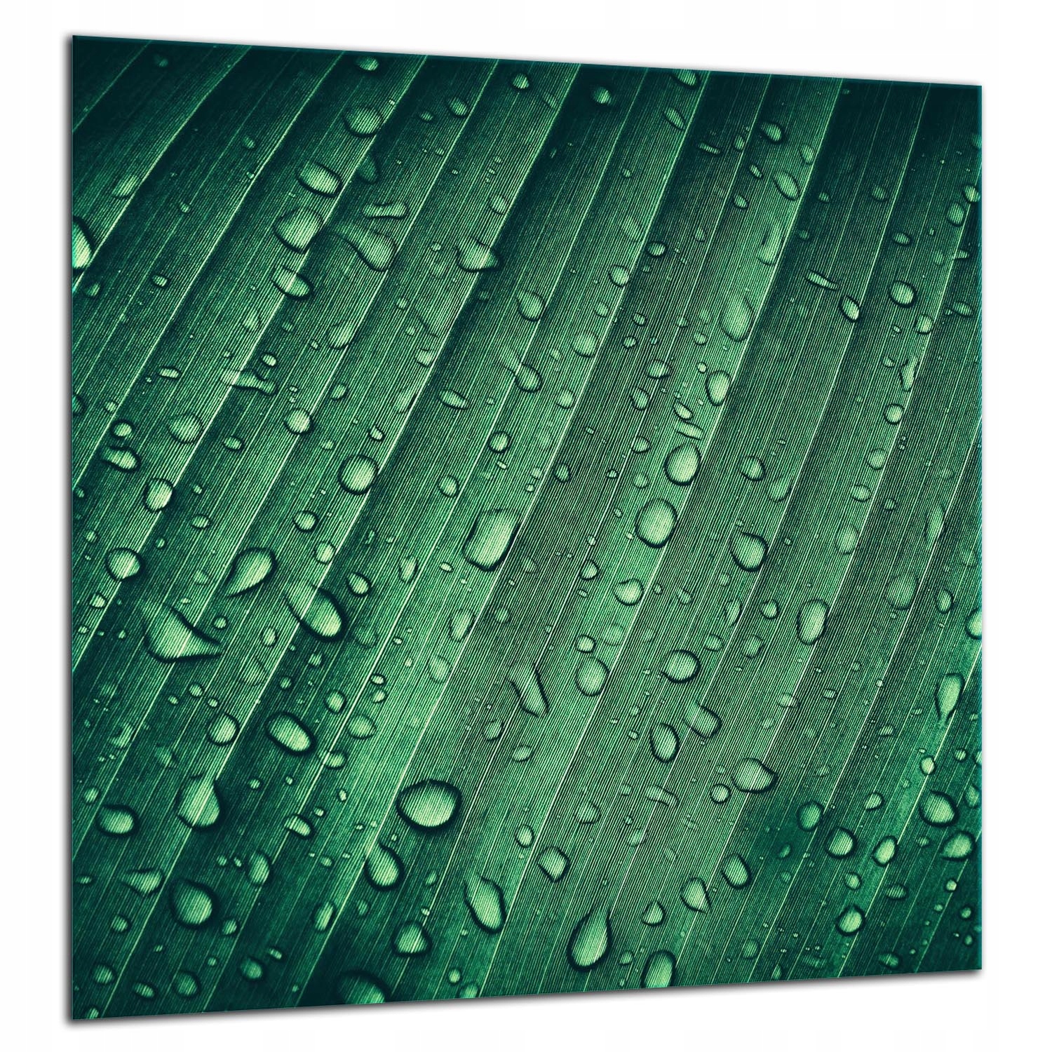 7v1 Skleněná Ochranná Deska Panel Lepidlo 60x65 Kapky