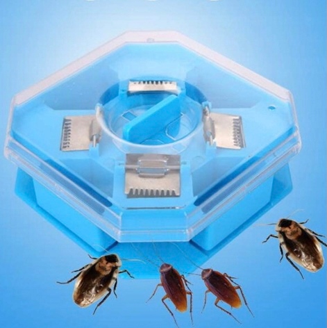 PUŁAPKA NA PRUSAKI KARALUCHY RYBIKI PLUSKWY Robaki PRZECIW KARALUCHOM Producent inna