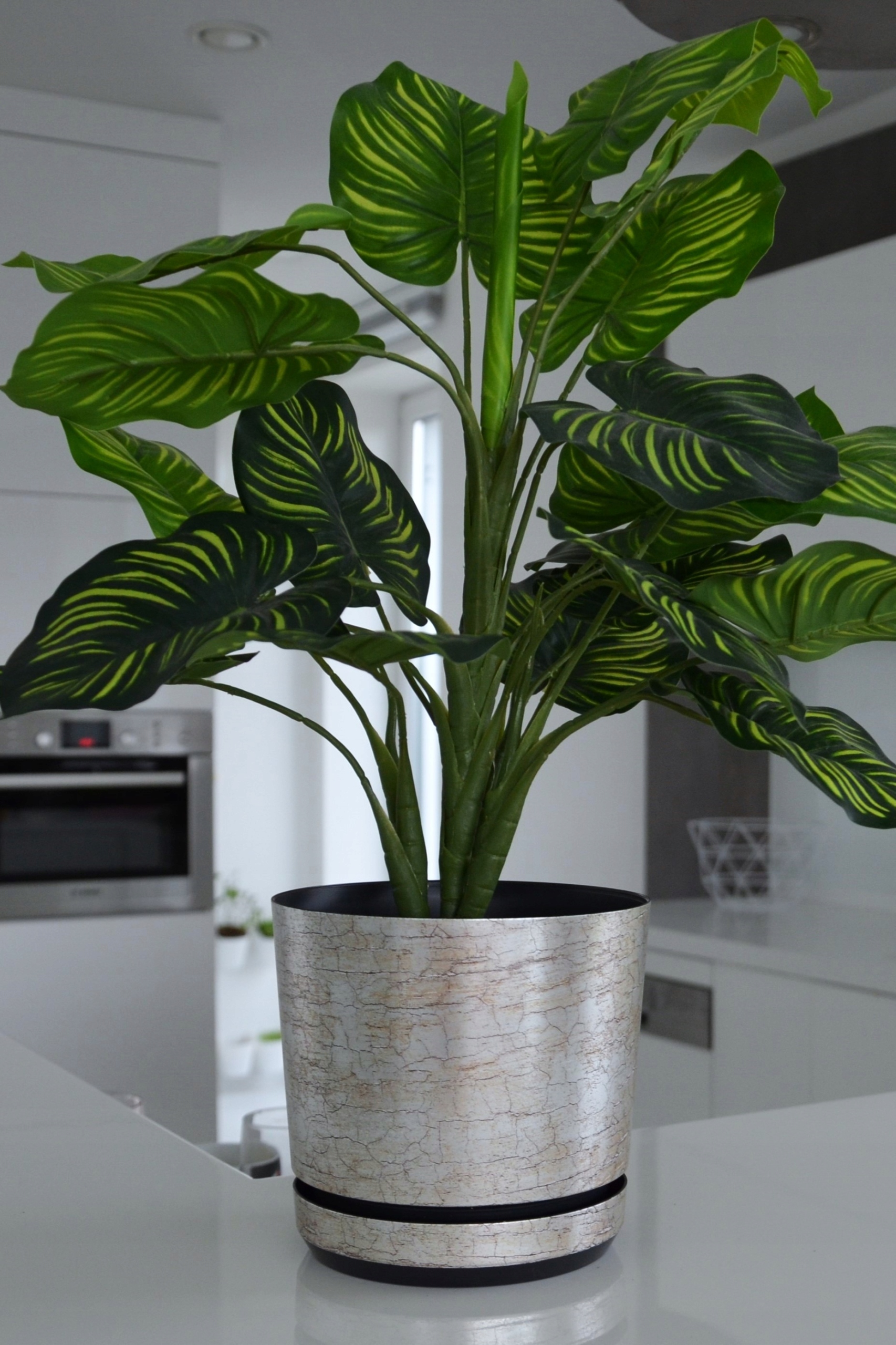 Doniczka DEKOR śr. 16 cm kolor srebro antyczne Kod producenta DEKOR 16/019