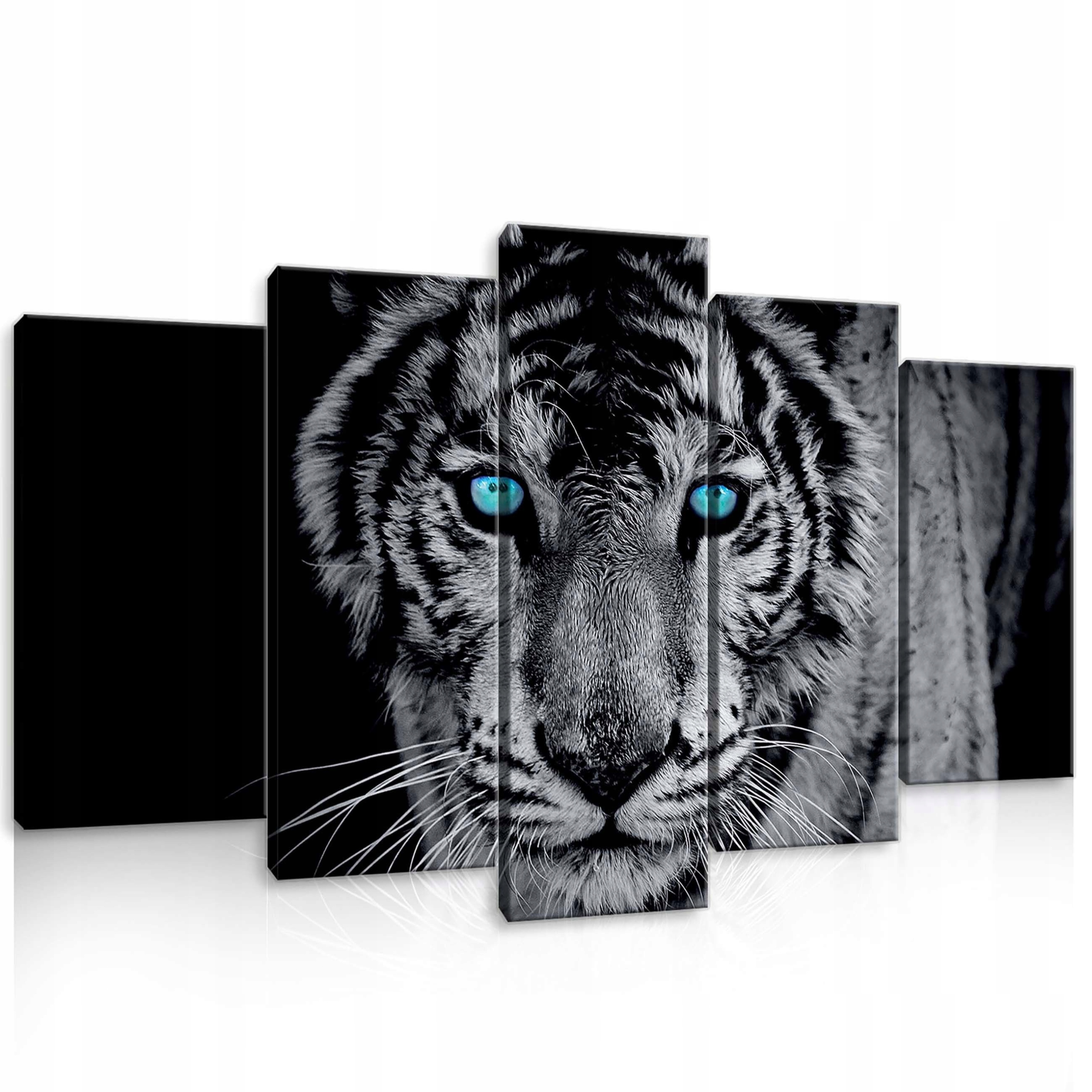 Obraz 100x60 Tygr oči dravec síla příroda kočka dravý pohled