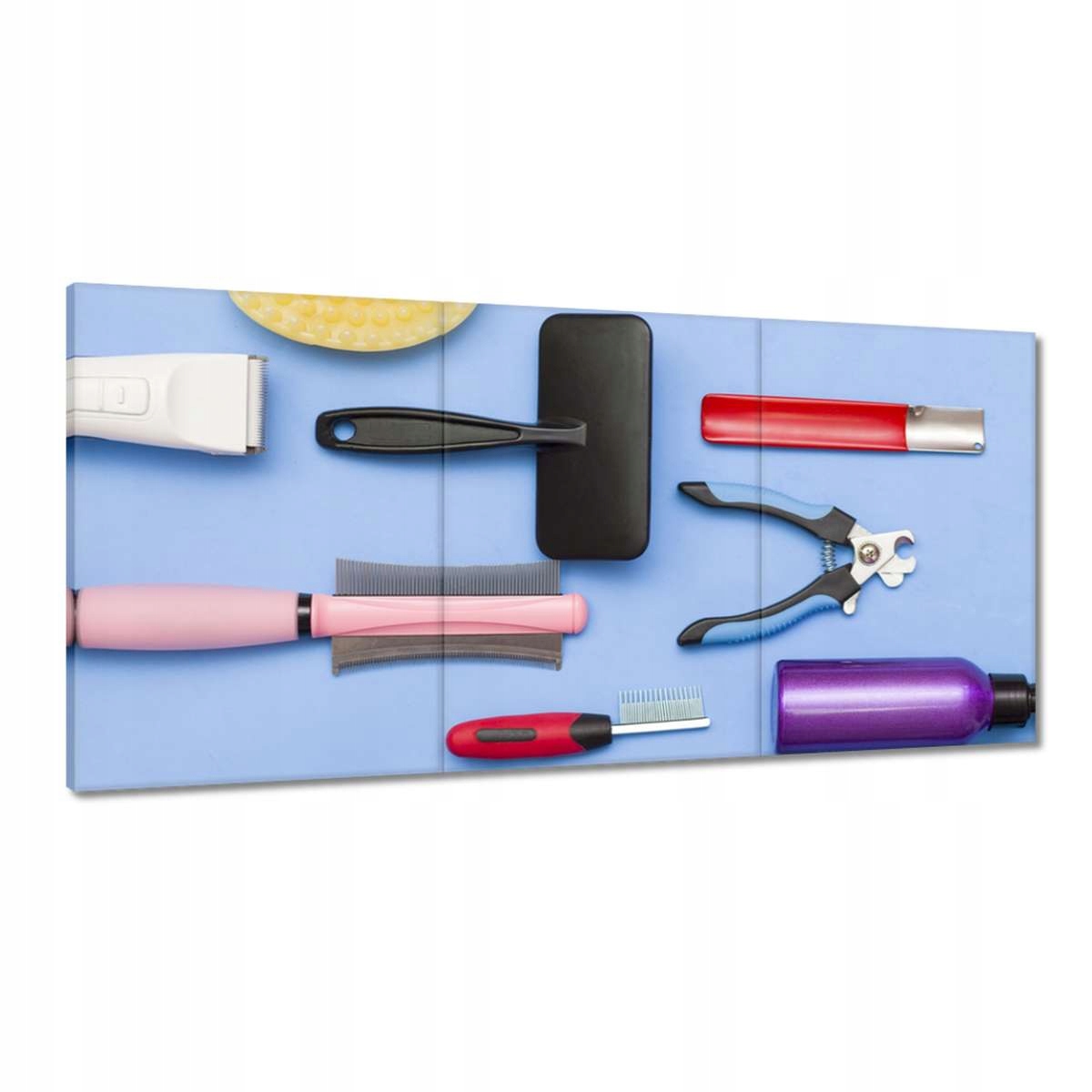 Obrazy 180x90 Vybavenie na strihanie psa