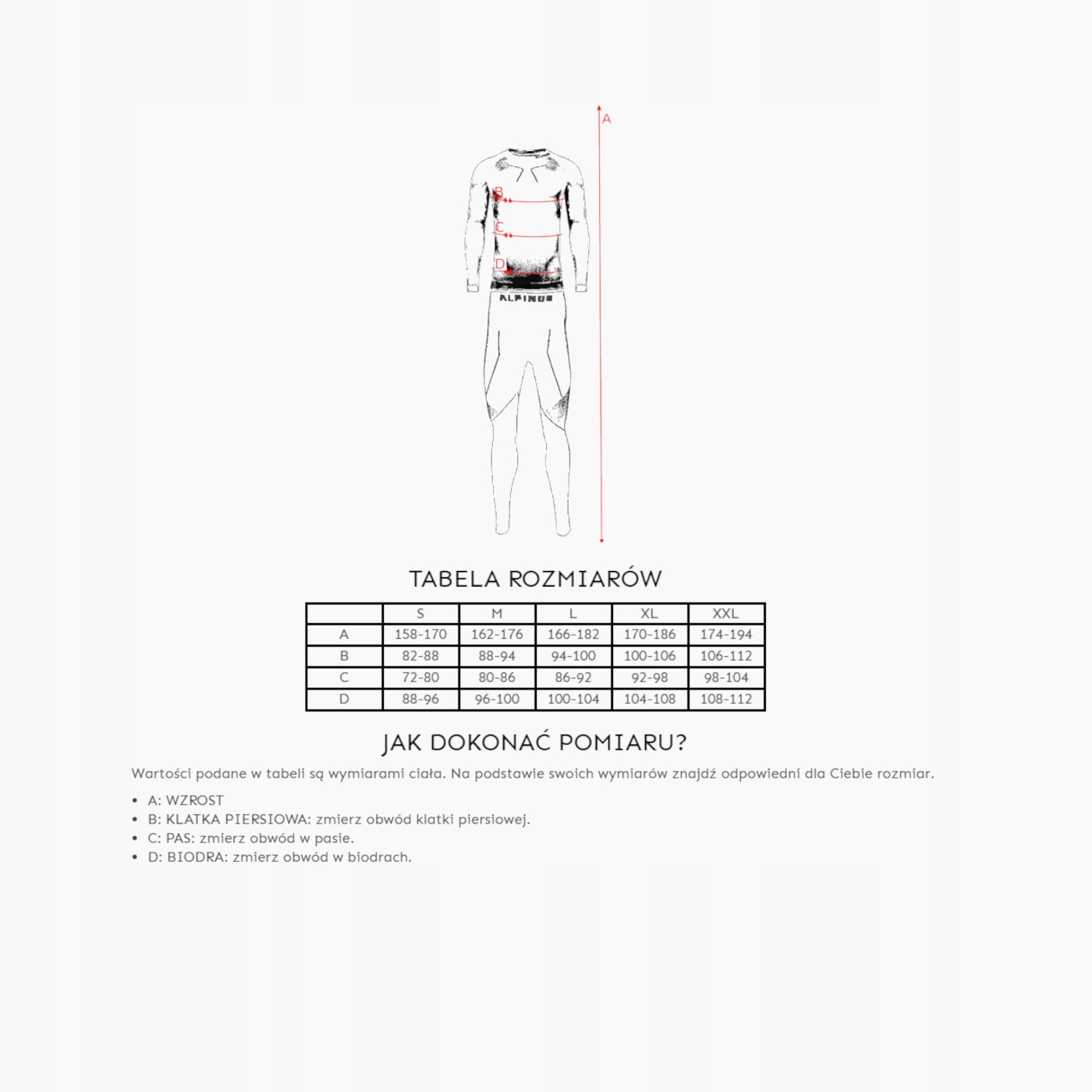 Bielizna Termoaktywna Męska Alpinus IDRE Set Zielona M Linia regular